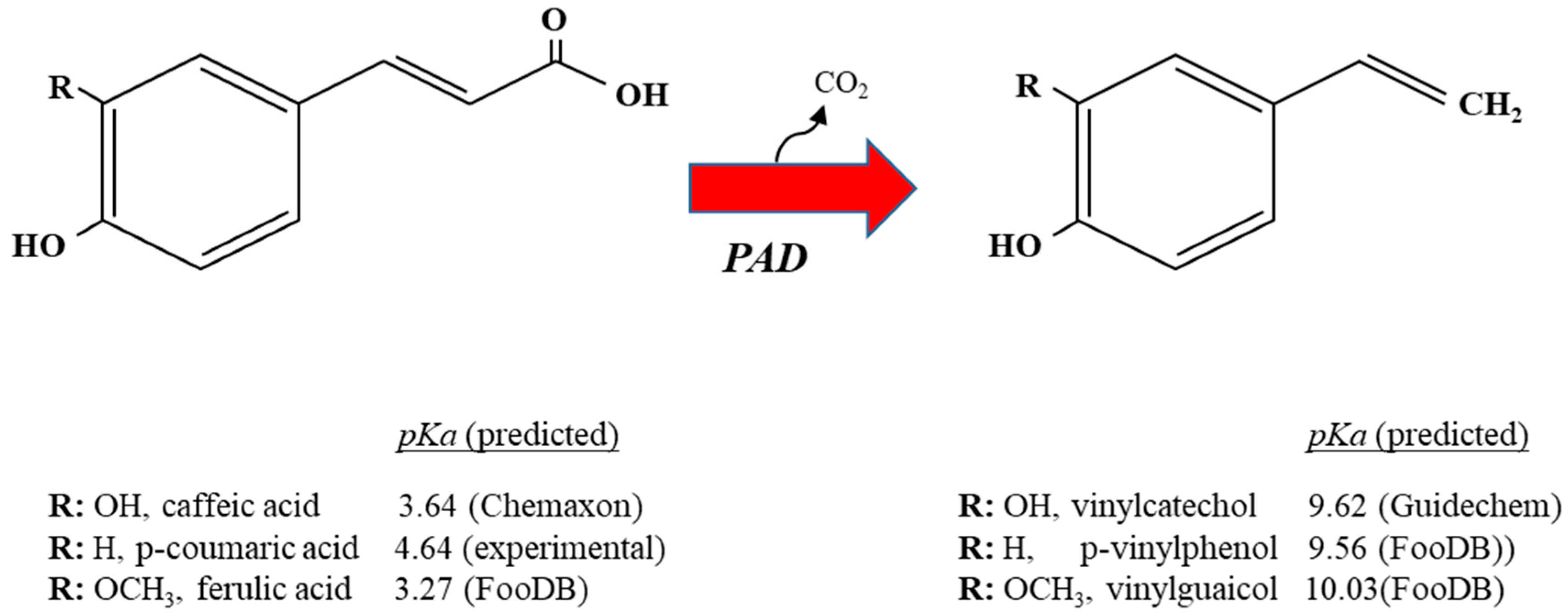 Antioxidants 12 01294 g001