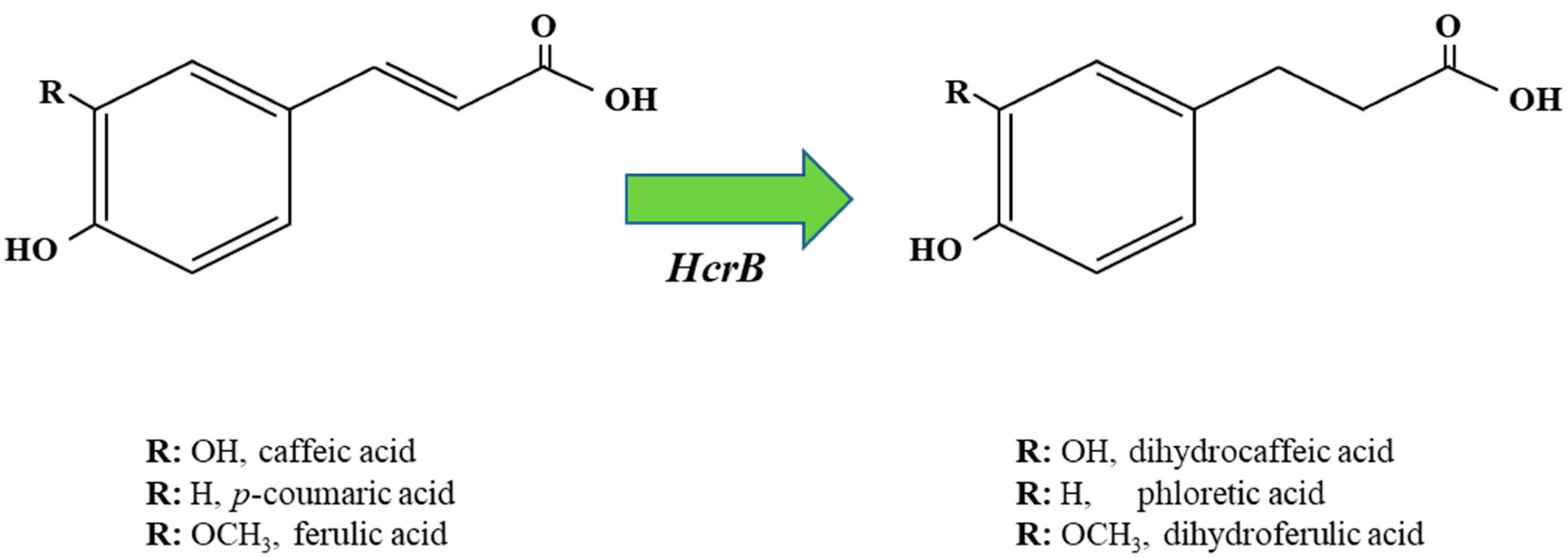Antioxidants 12 01294 g004