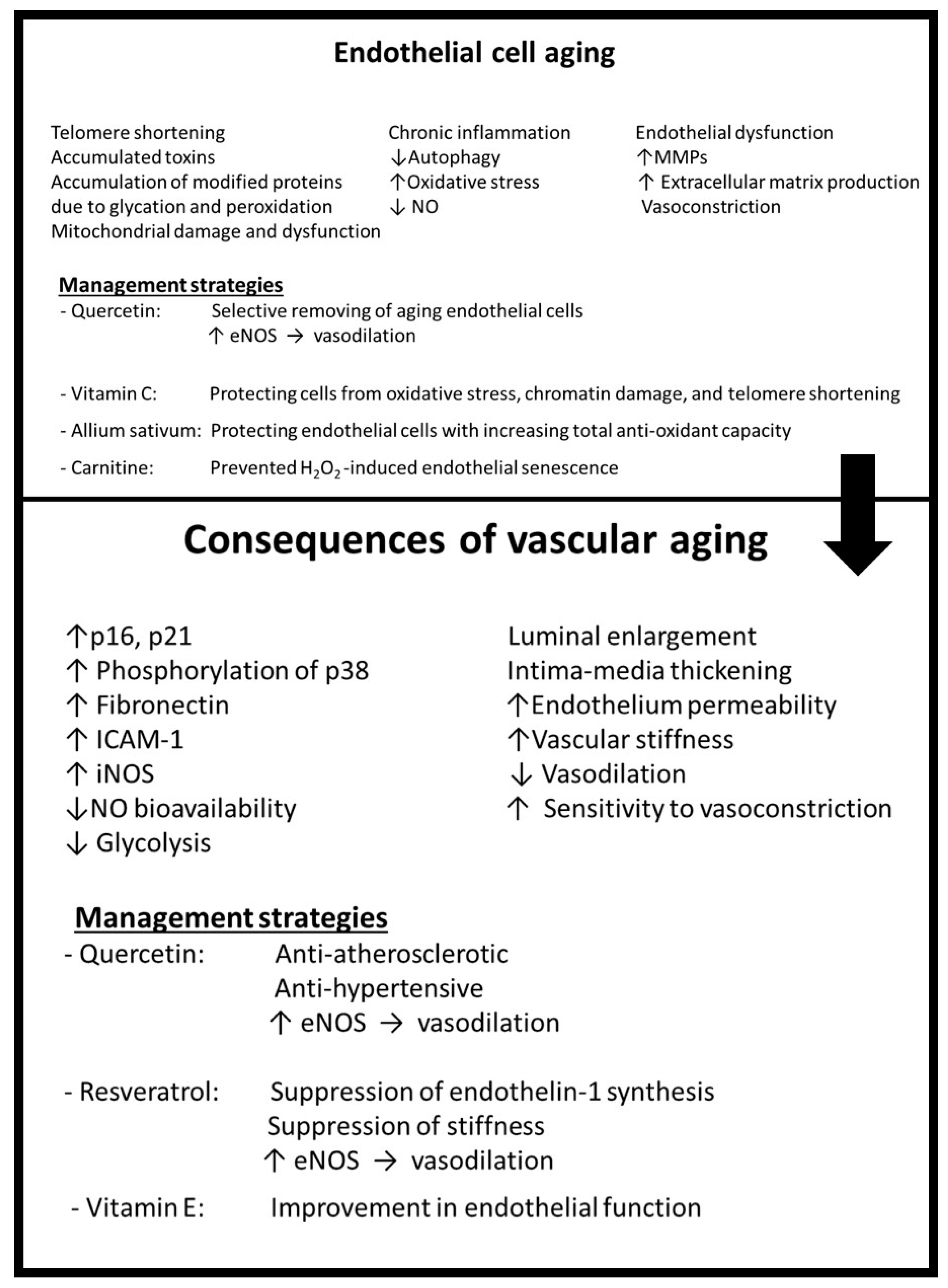 Antioxidants 12 01295 g003