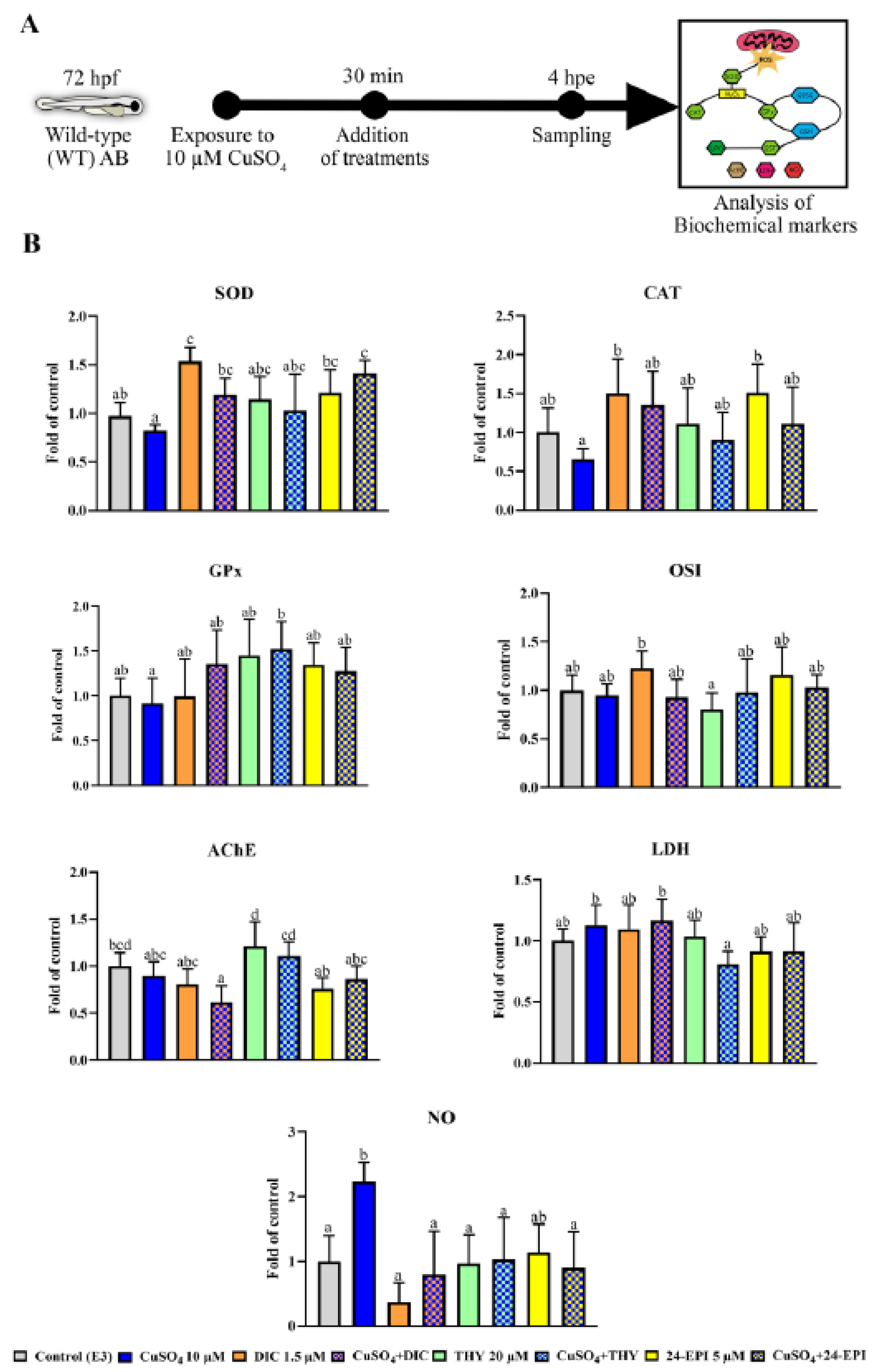 Antioxidants 12 01297 g003 Antioxidants 12 01297 g003