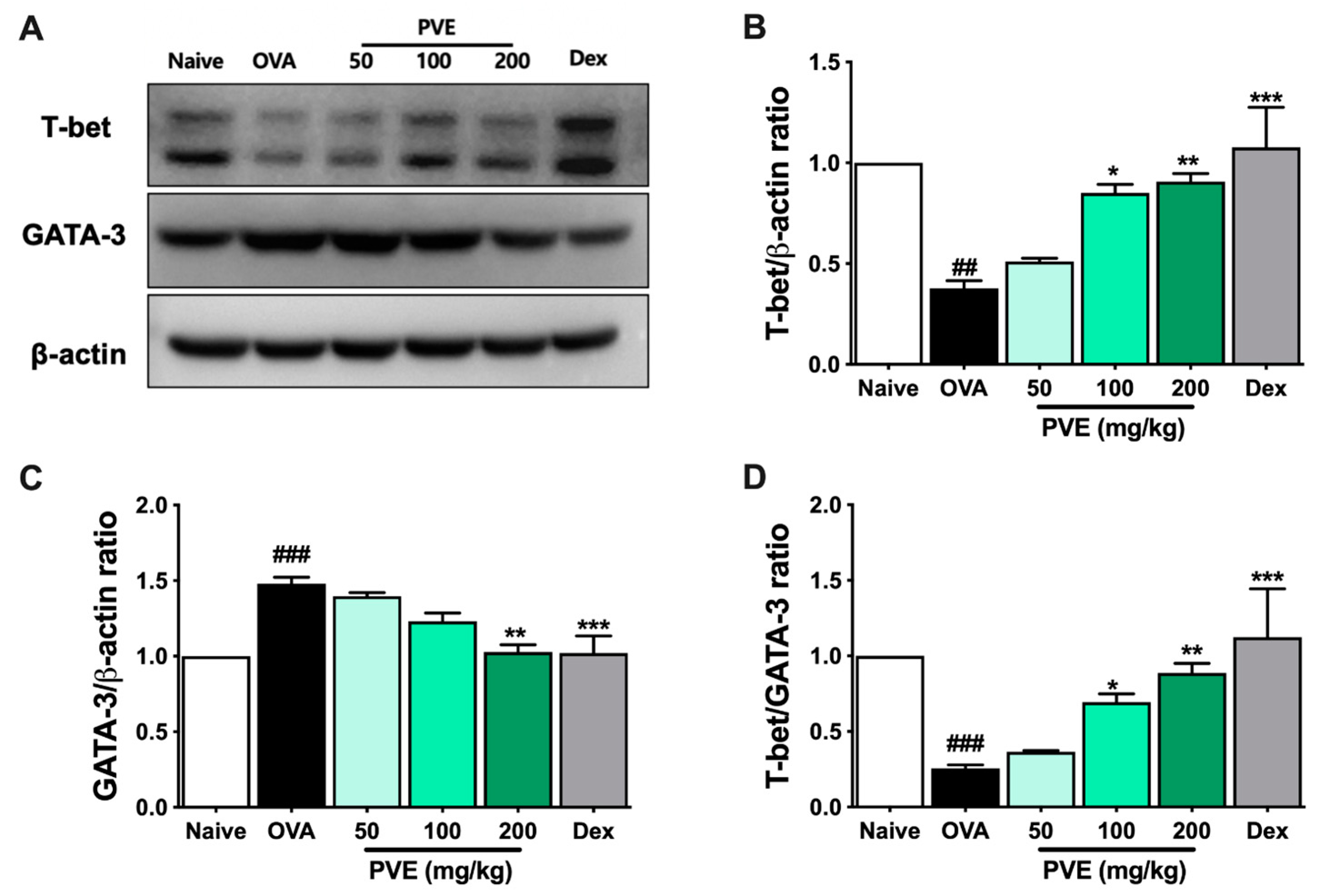Antioxidants 12 01301 g008
