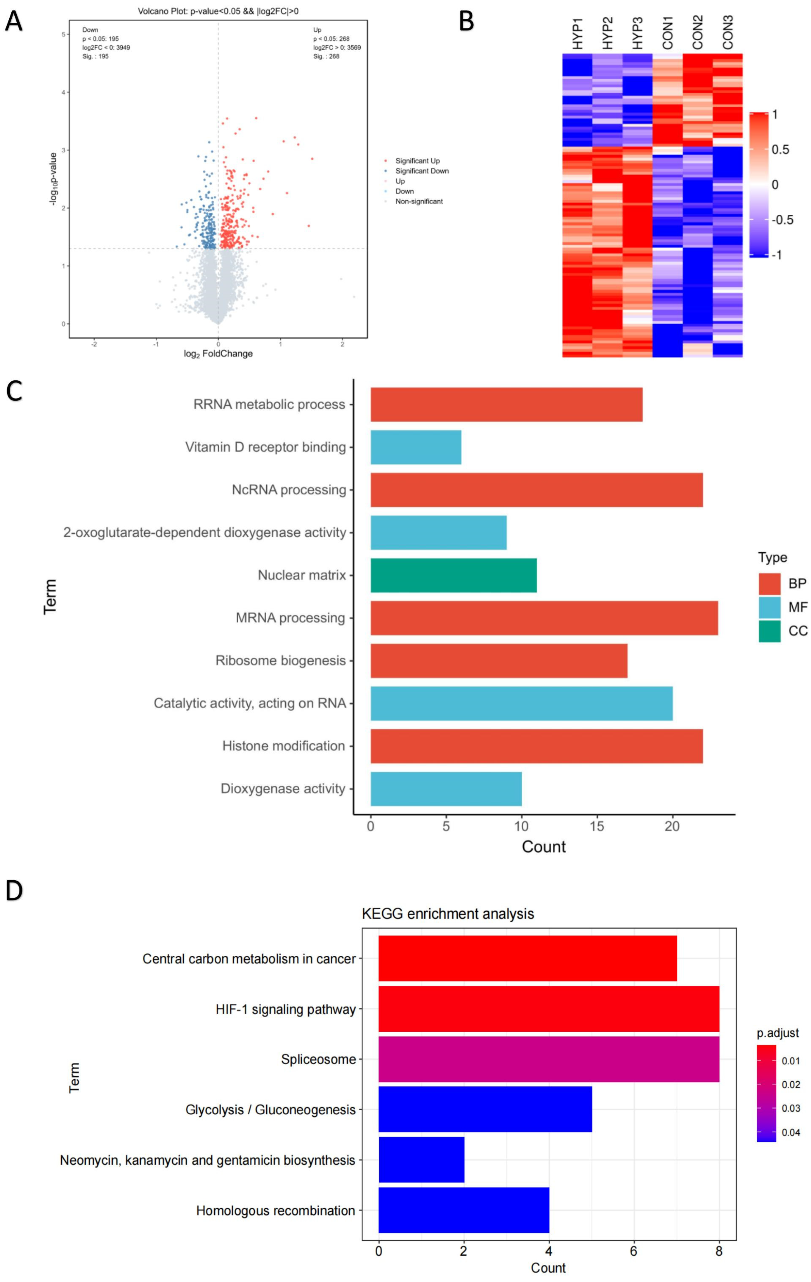 Antioxidants 12 01304 g002 Antioxidants 12 01304 g002