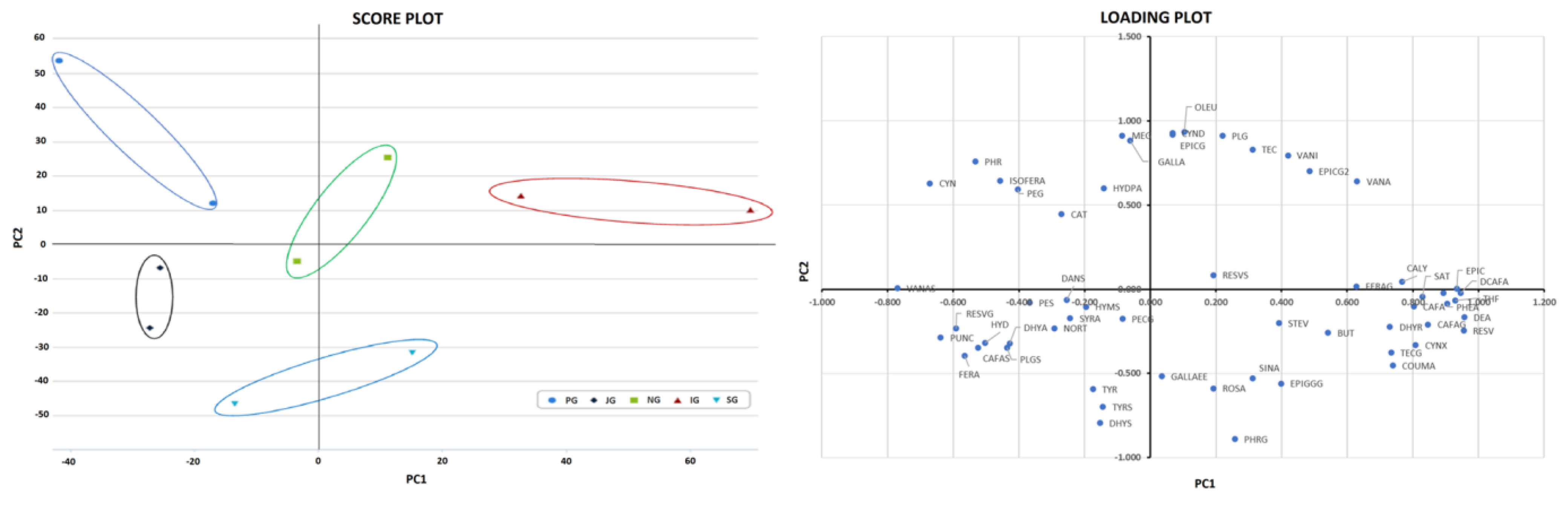 Antioxidants 12 01306 g007 Antioxidants 12 01306 g007