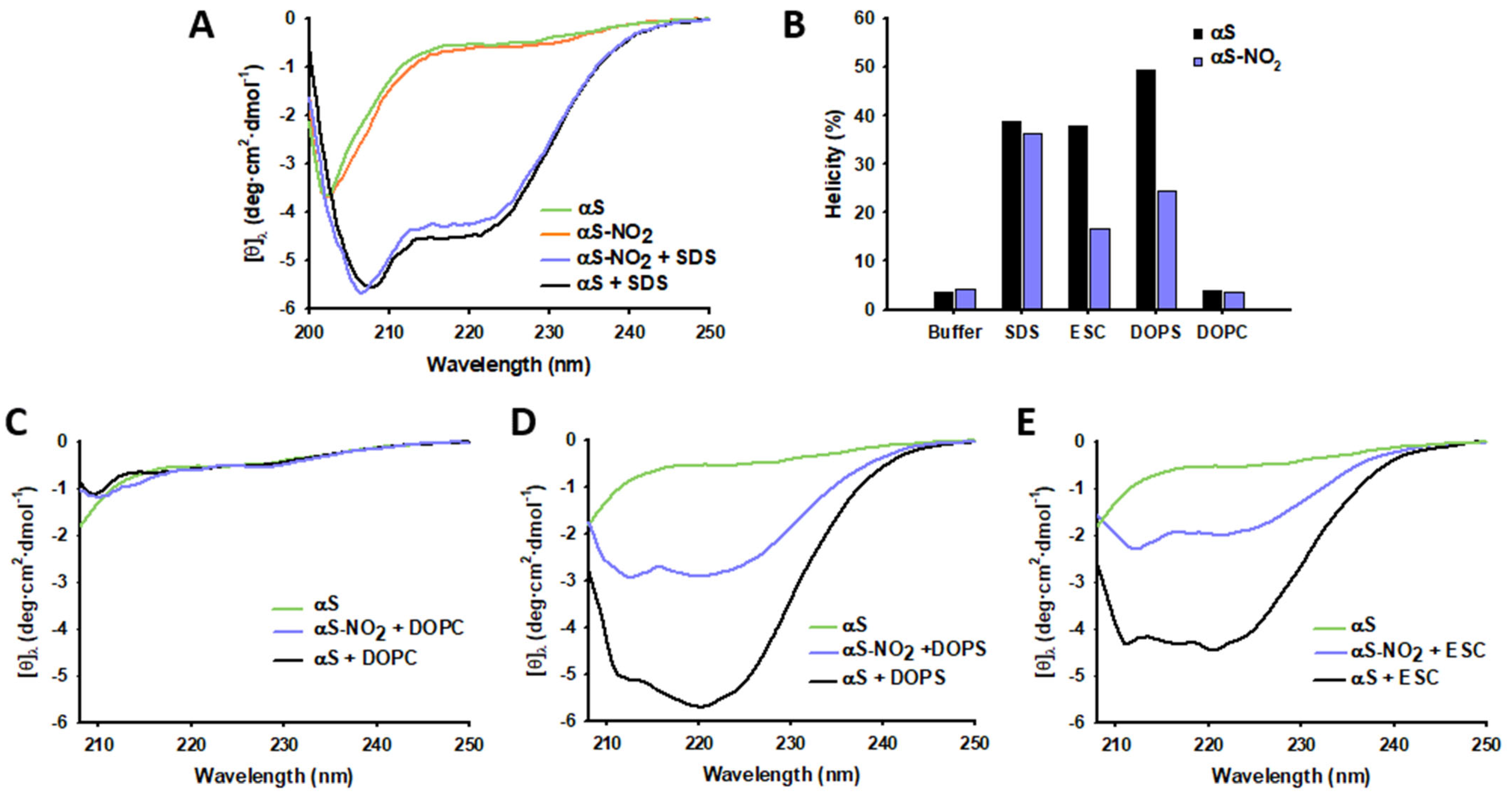 Antioxidants 12 01310 g002 Antioxidants 12 01310 g002