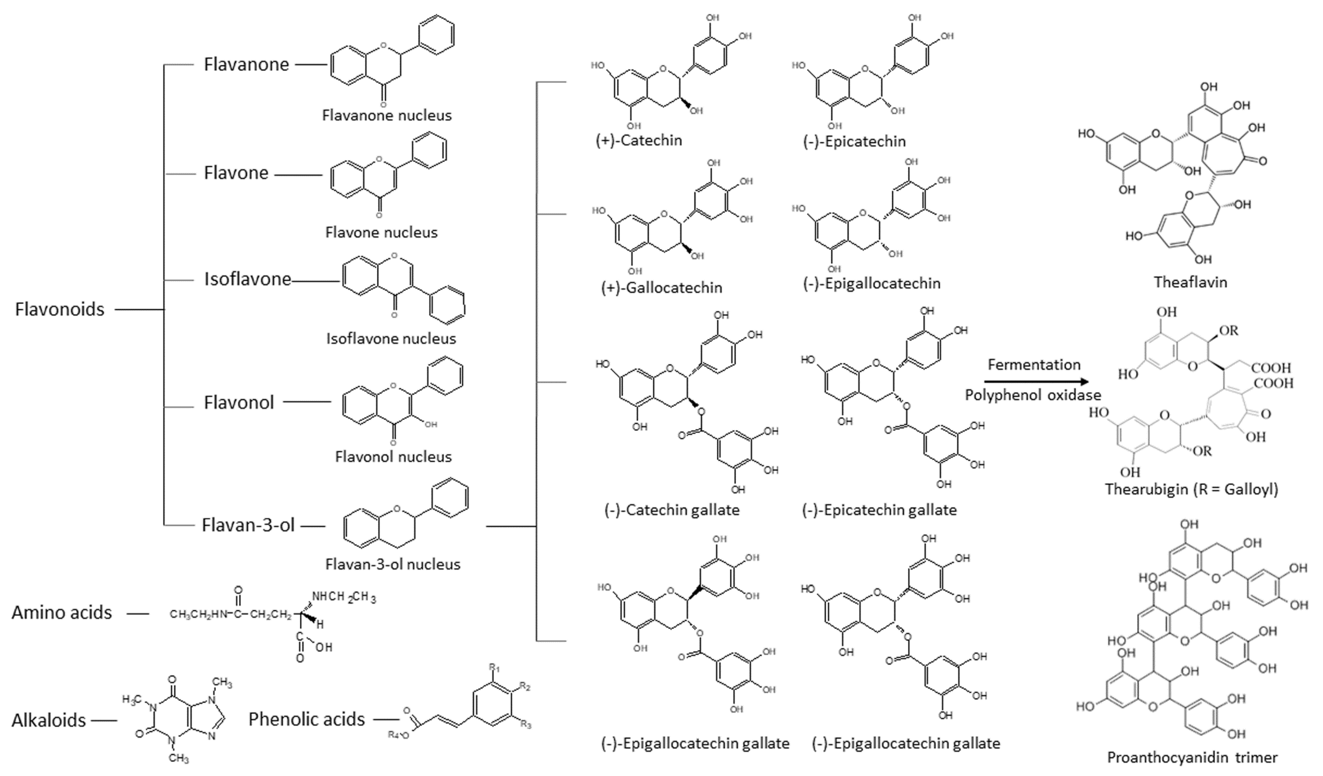 Antioxidants 12 01320 g001