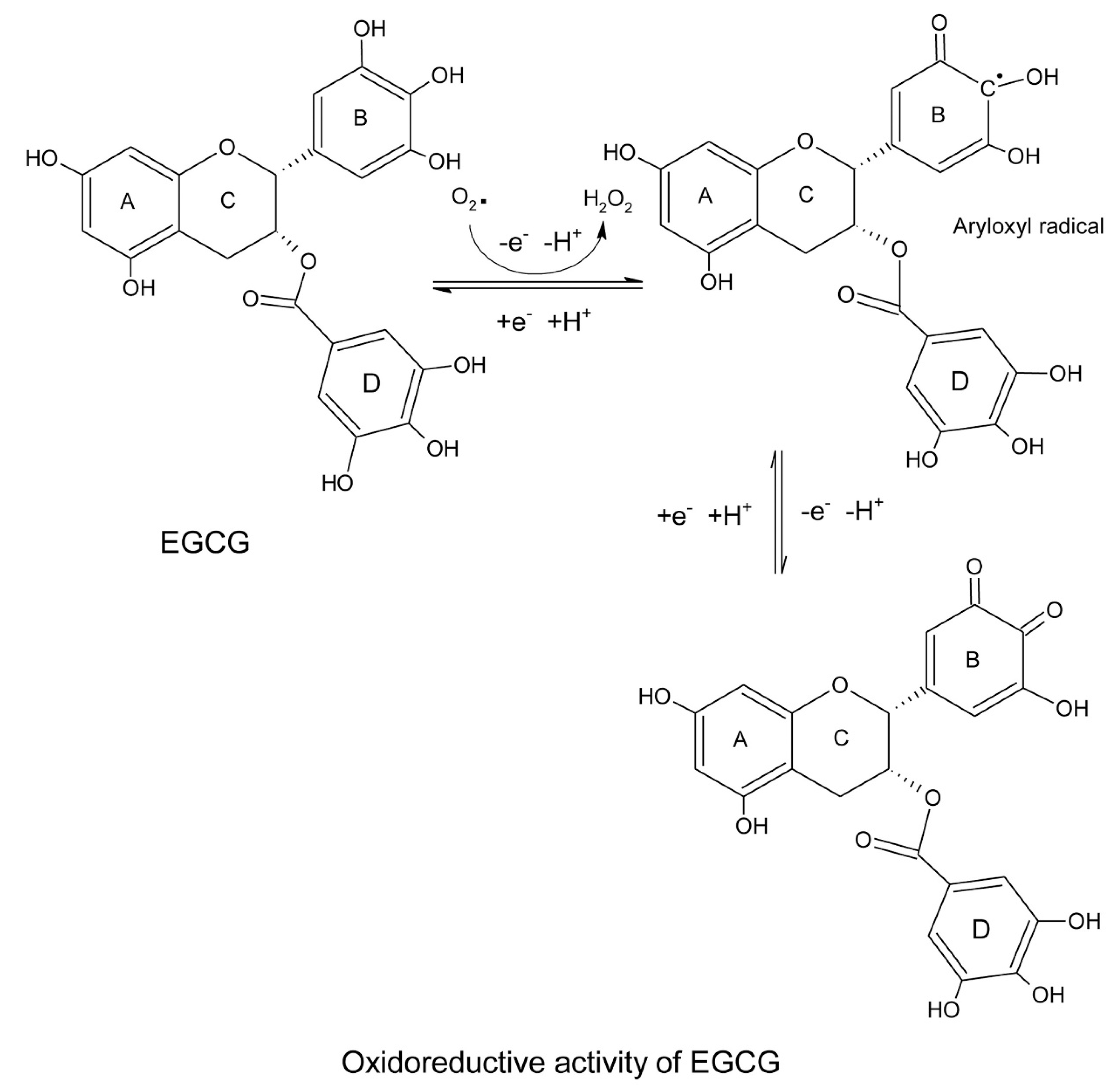 Antioxidants 12 01320 g002