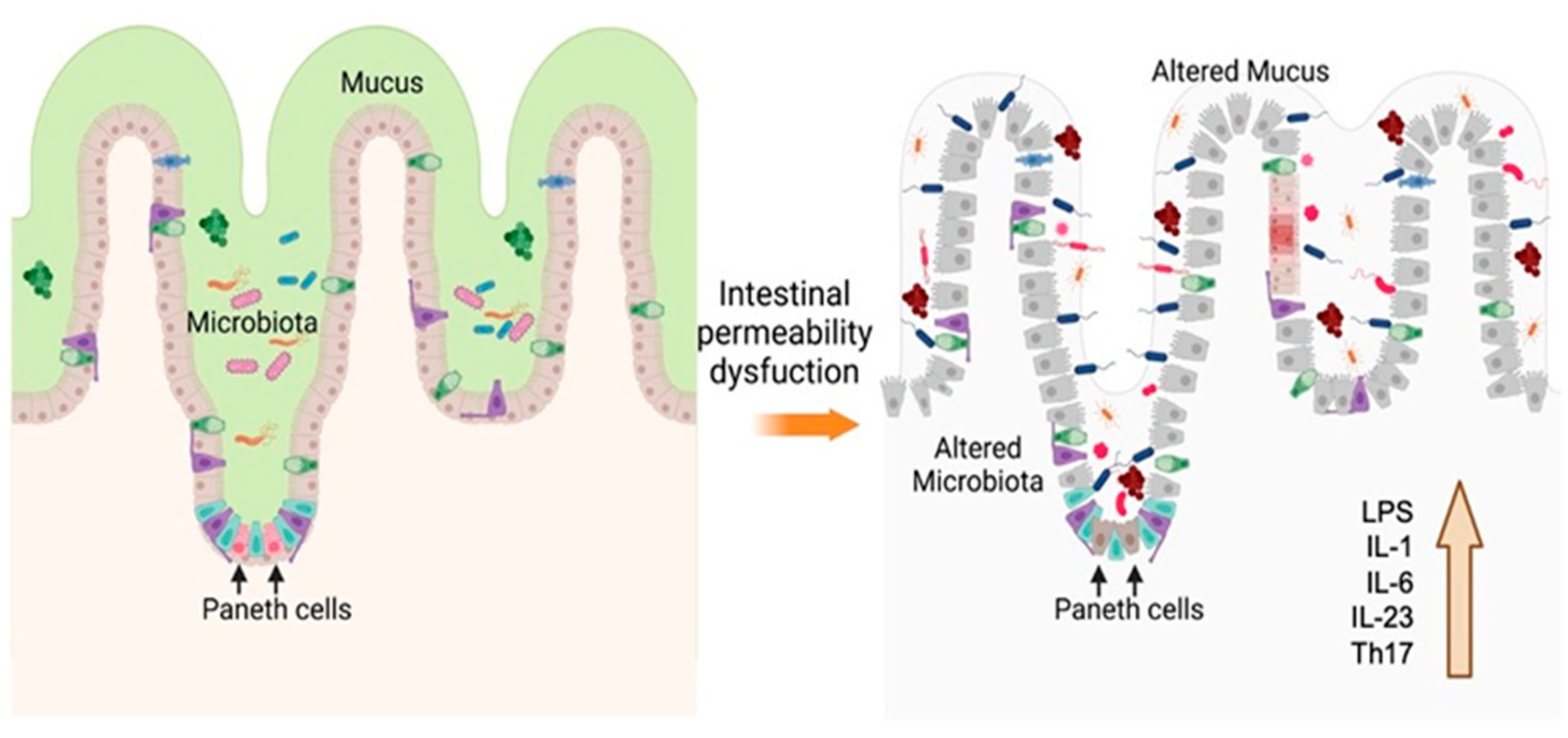 Antioxidants 12 01323 g003 Antioxidants 12 01323 g003