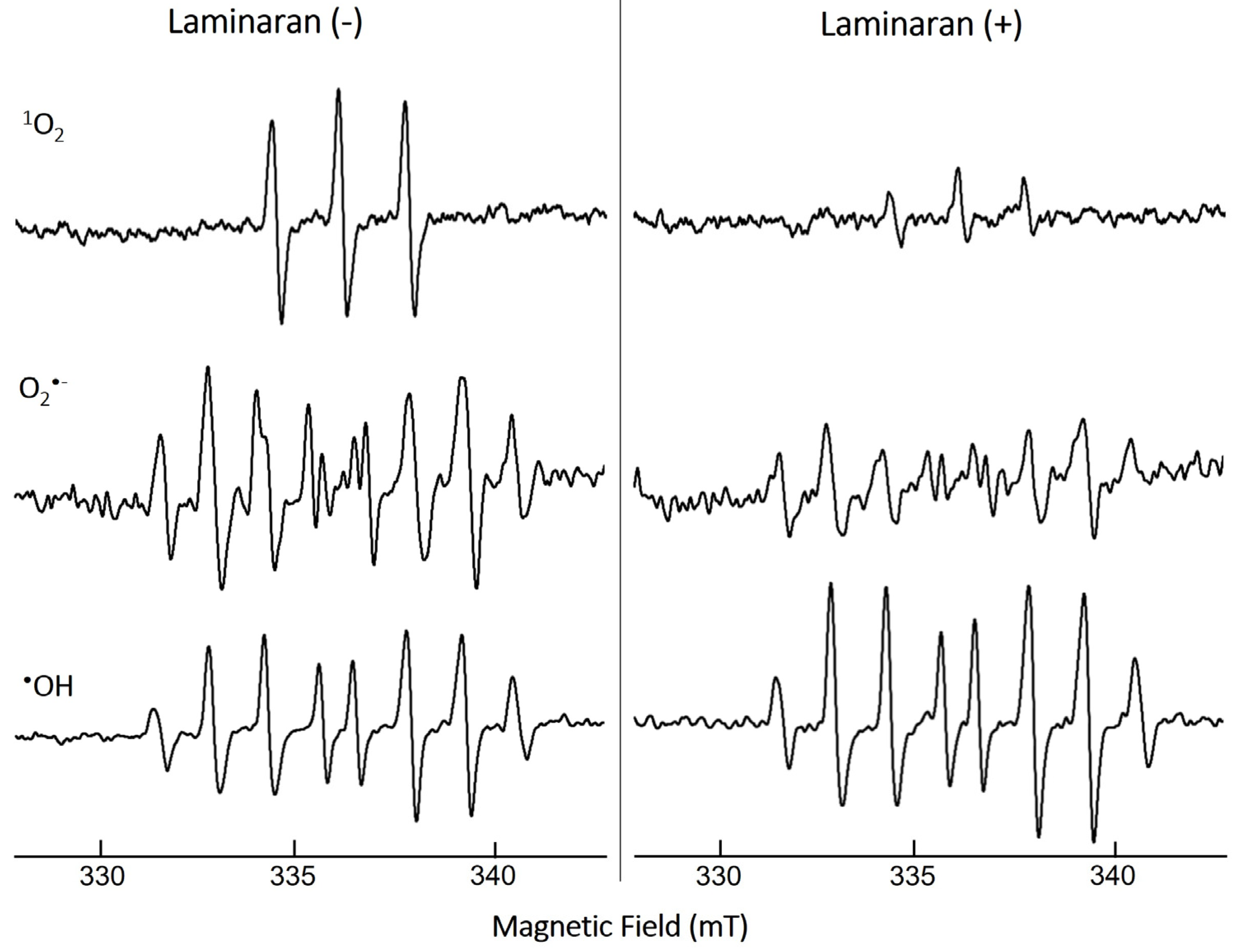 Antioxidants 12 01328 g001