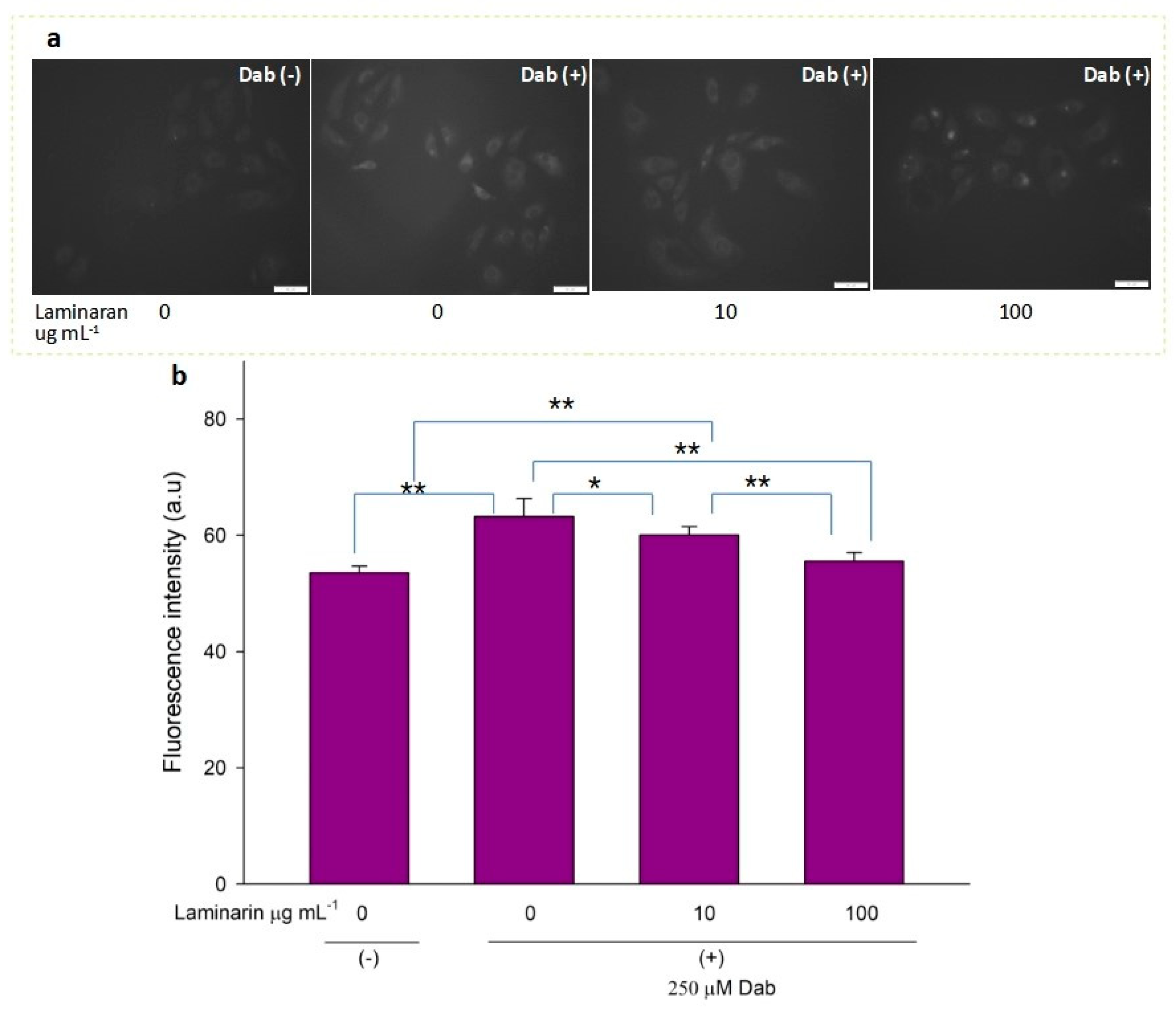 Antioxidants 12 01328 g005