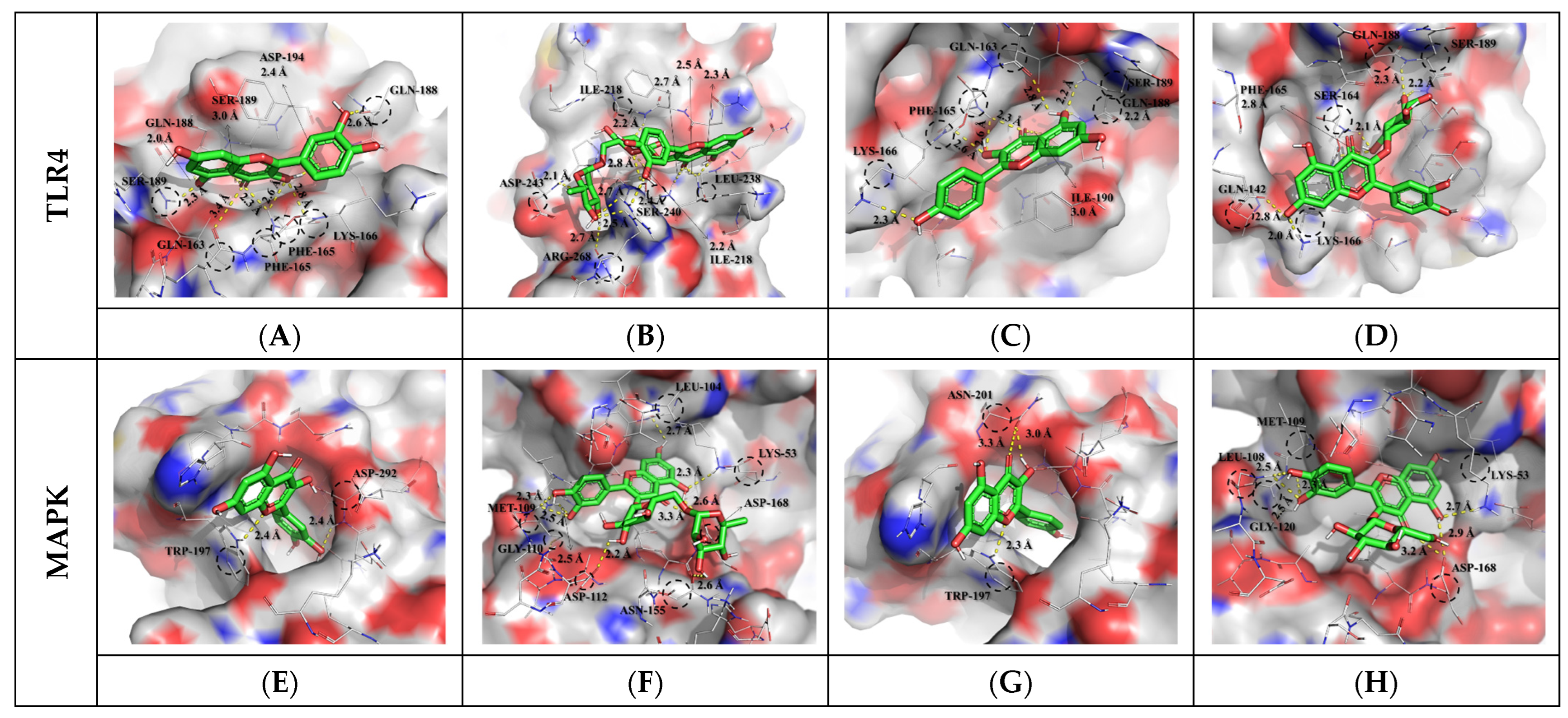 Antioxidants 12 01329 g003 Antioxidants 12 01329 g003