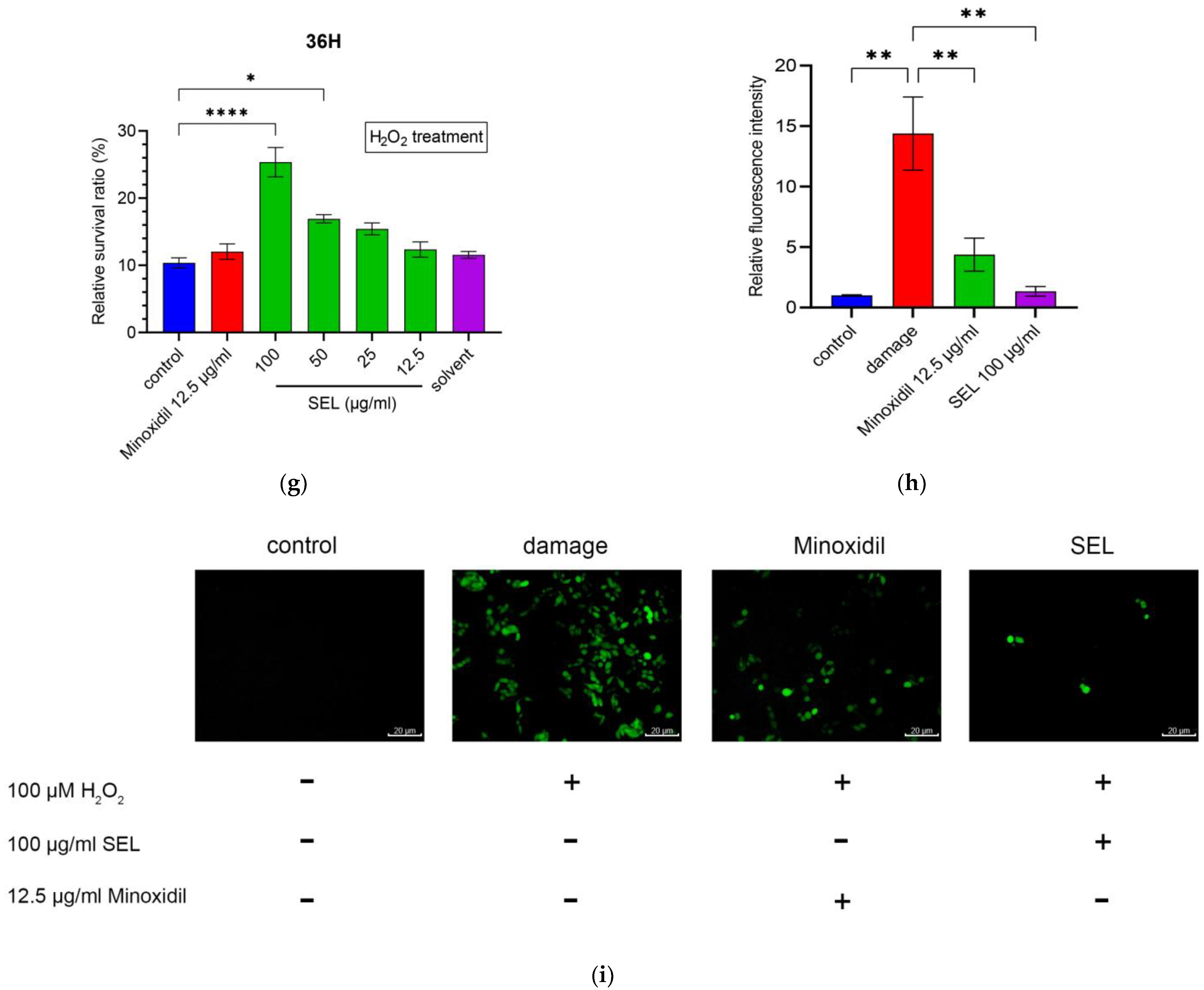 Antioxidants 12 01332 g001b Antioxidants 12 01332 g001b
