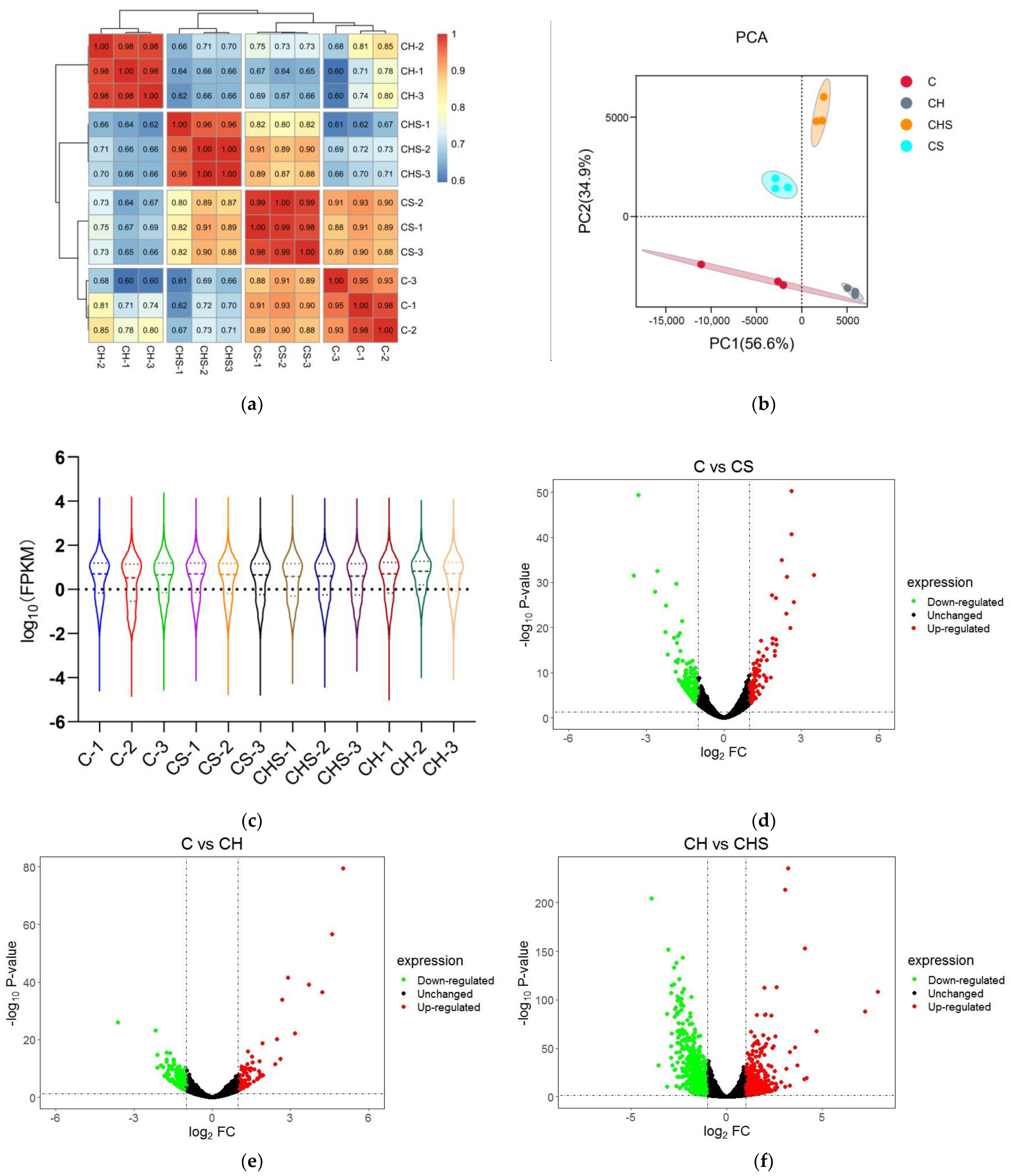 Antioxidants 12 01332 g002a Antioxidants 12 01332 g002a