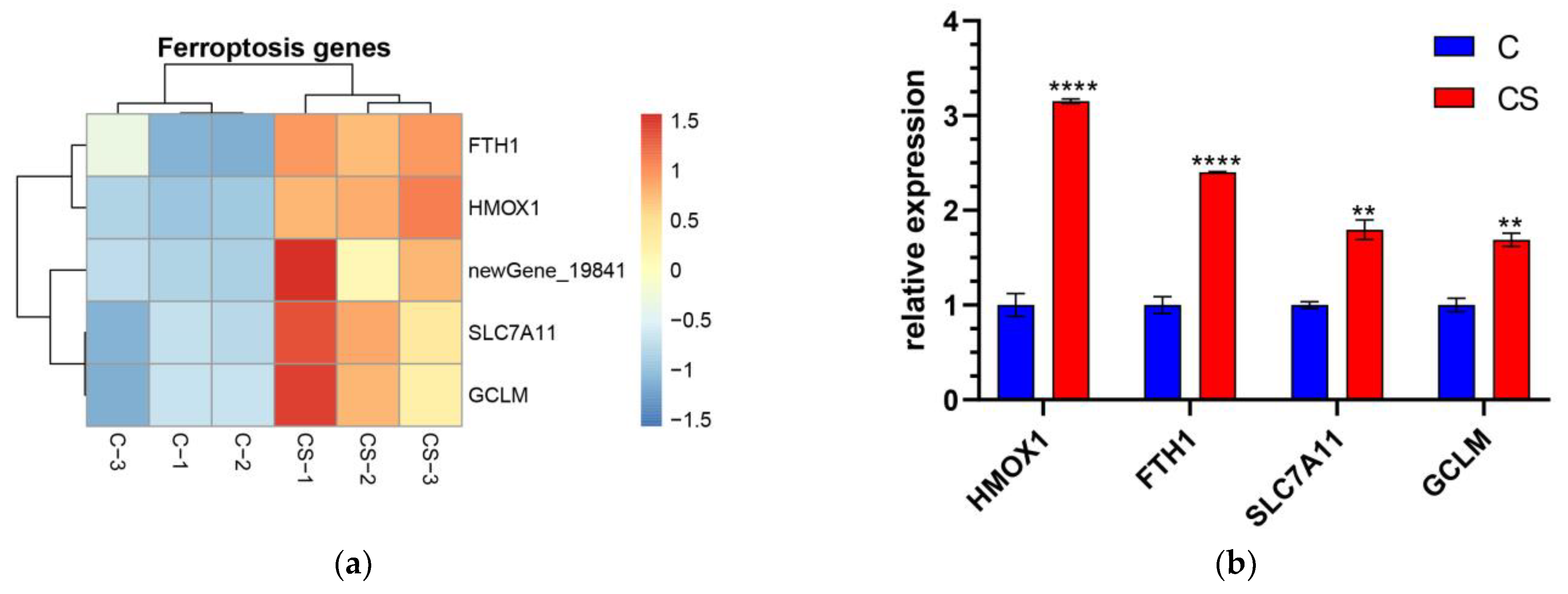 Antioxidants 12 01332 g004a Antioxidants 12 01332 g004a