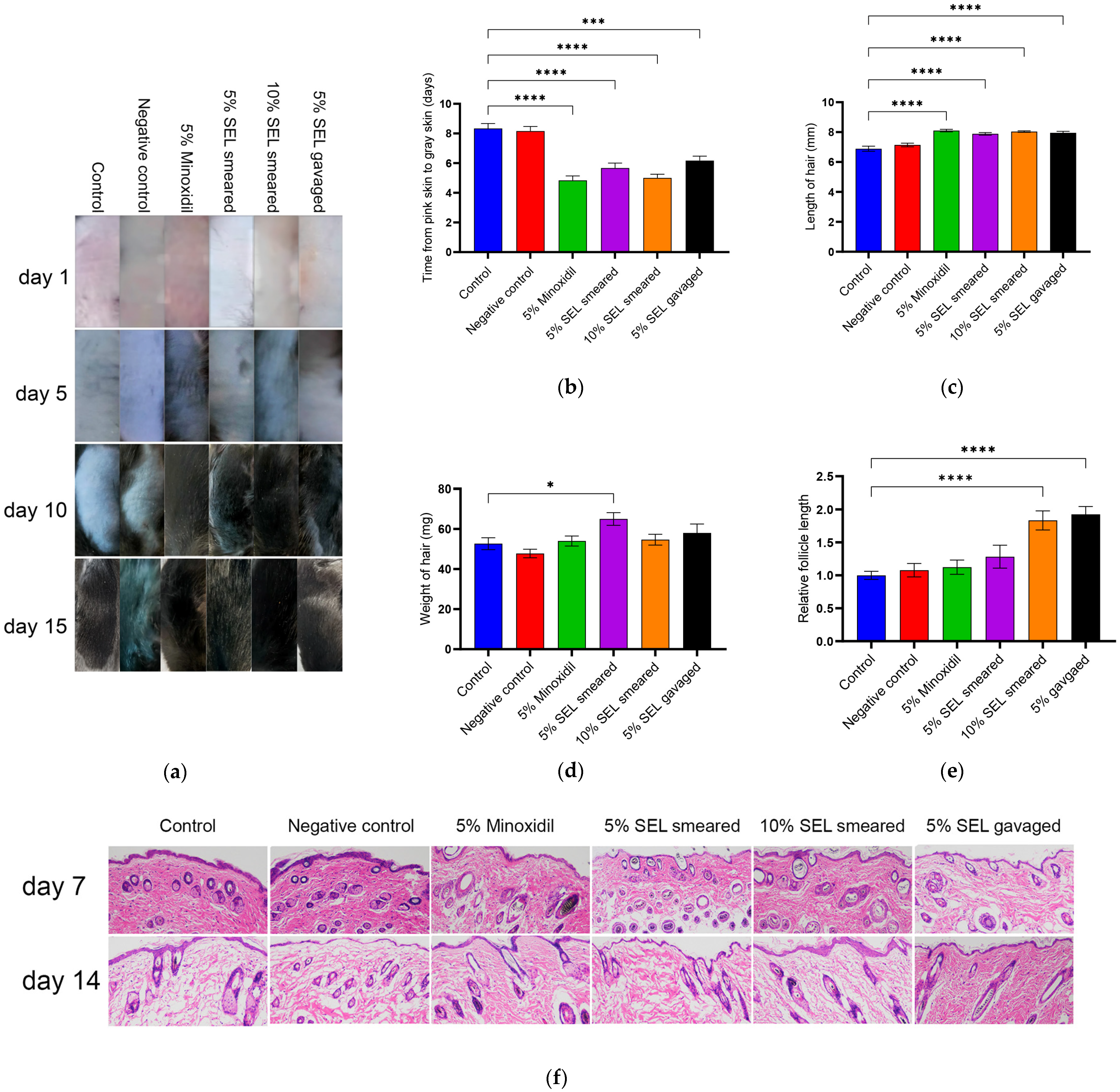 Antioxidants 12 01332 g005 Antioxidants 12 01332 g005