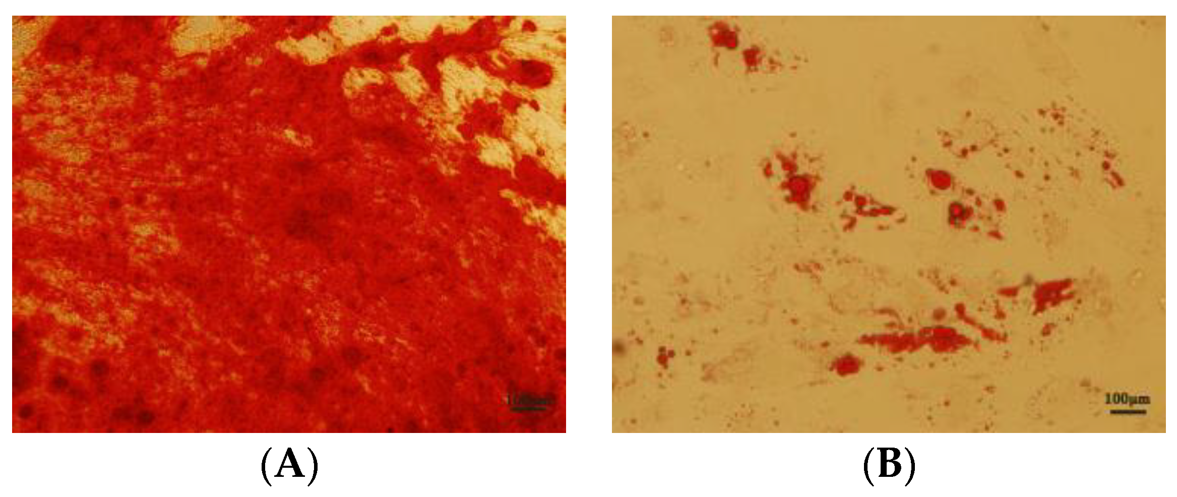 Antioxidants 12 01334 g003 Antioxidants 12 01334 g003