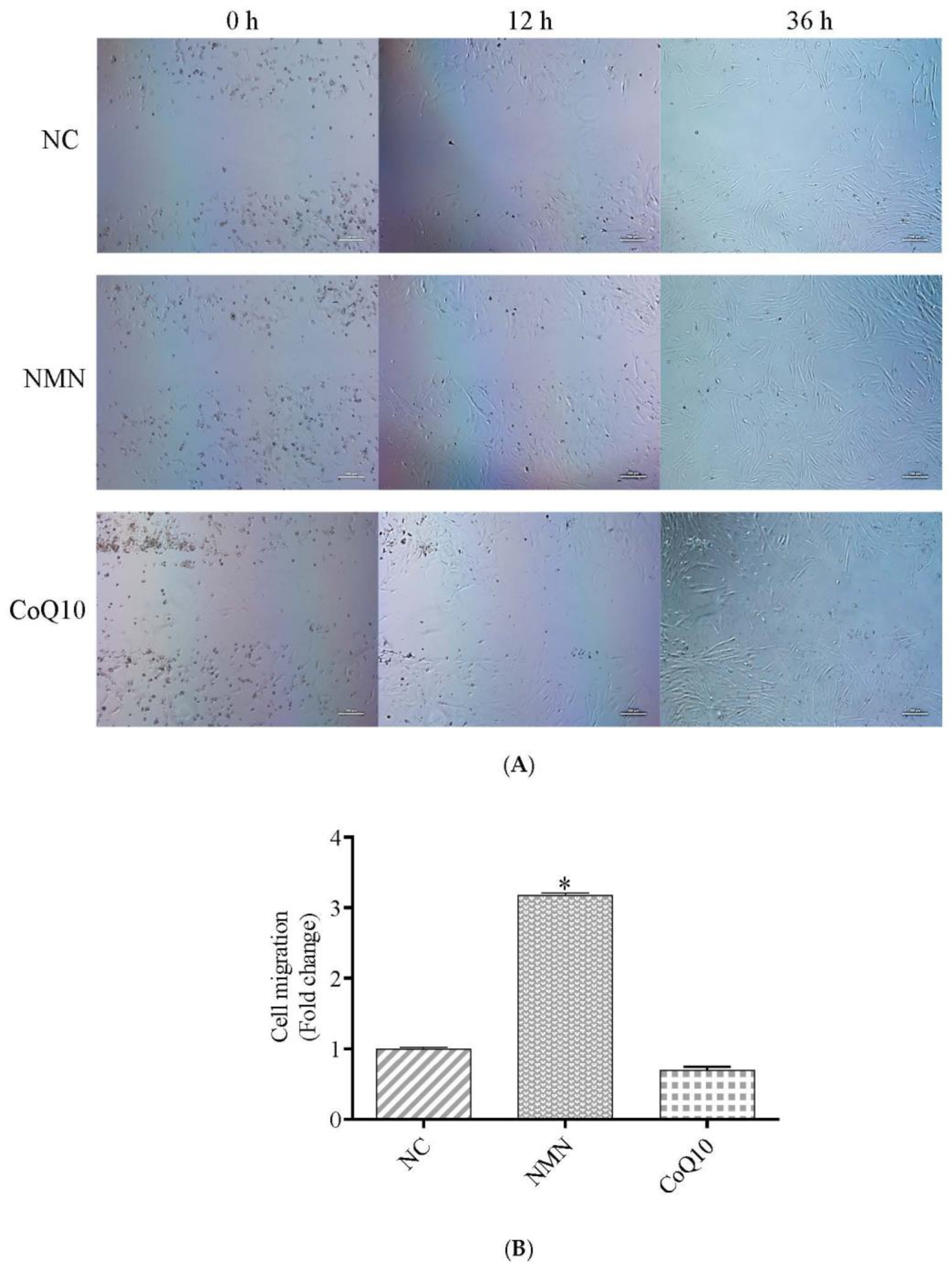Antioxidants 12 01334 g006 Antioxidants 12 01334 g006