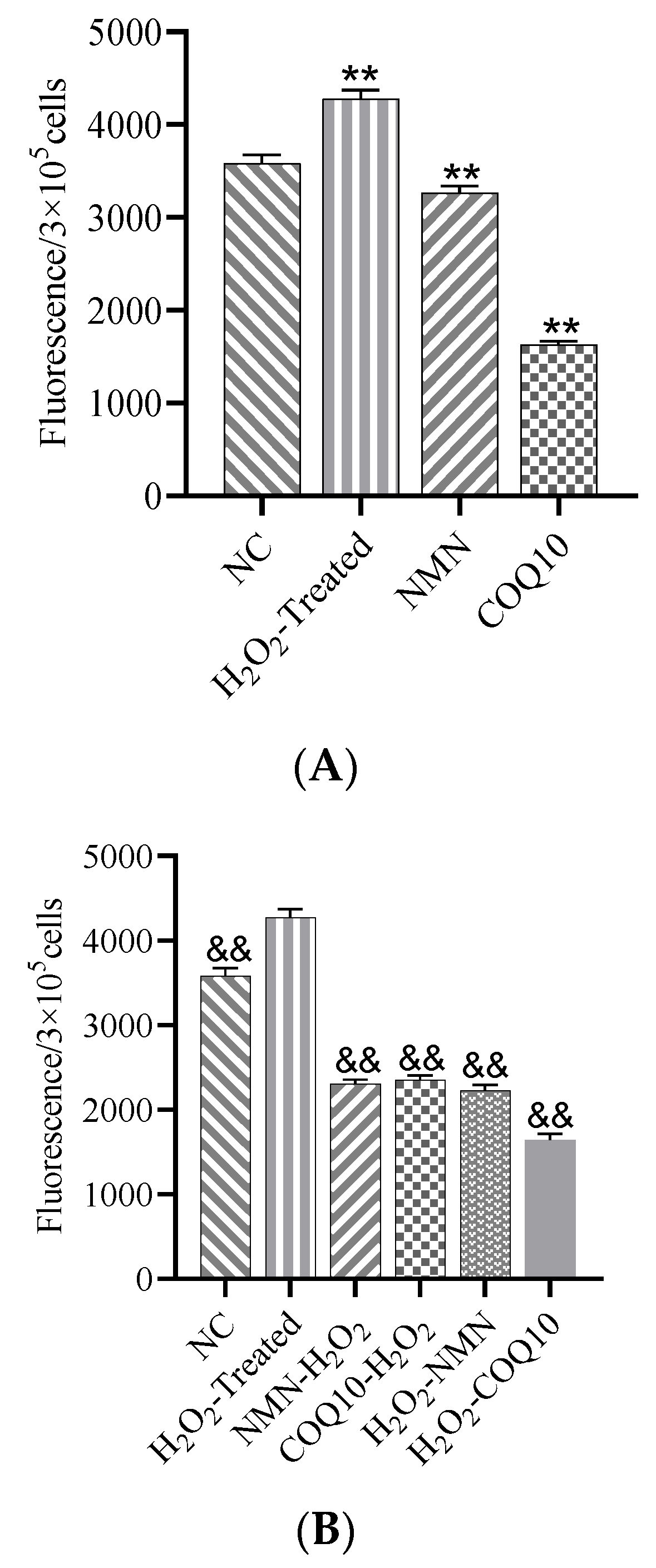 Antioxidants 12 01334 g007 Antioxidants 12 01334 g007