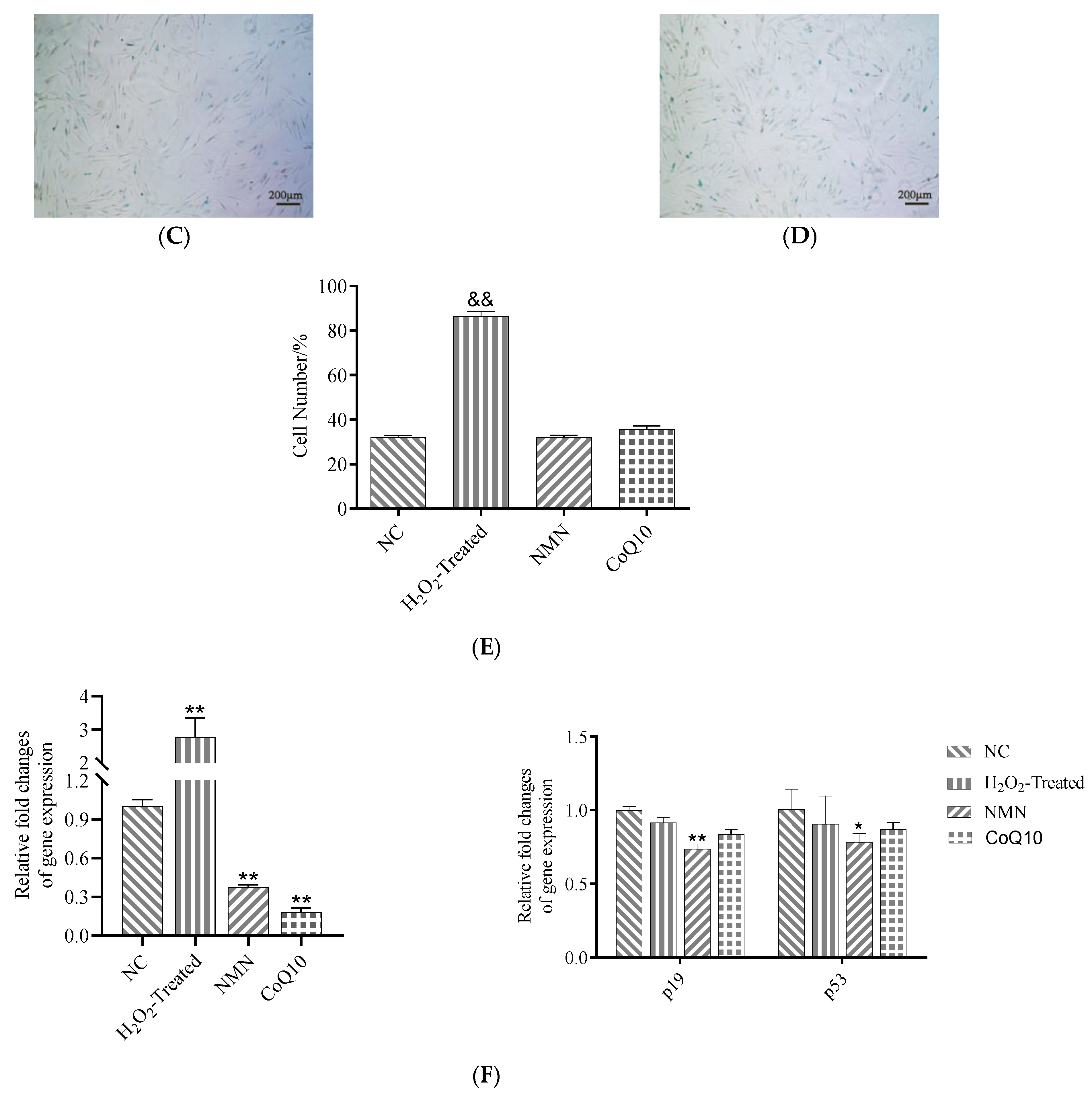 Antioxidants 12 01334 g008b Antioxidants 12 01334 g008b