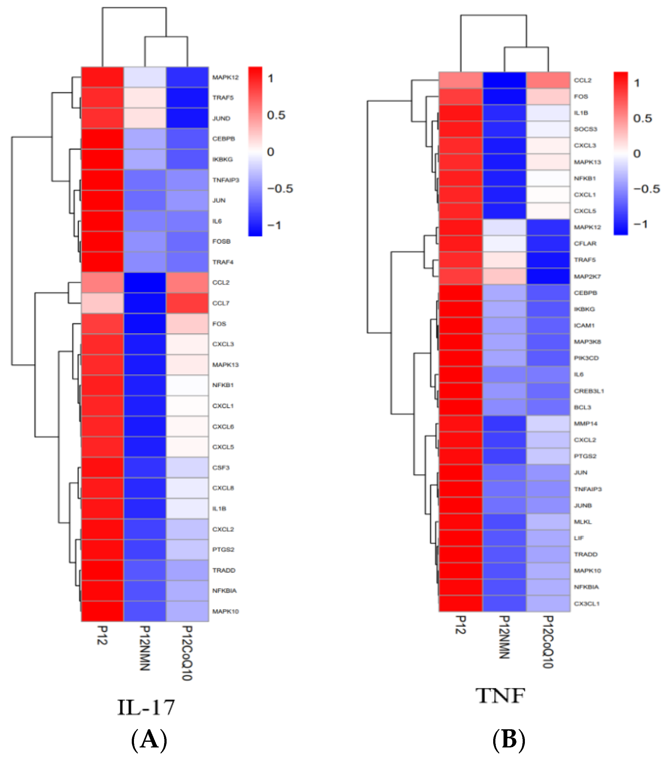 Antioxidants 12 01334 g013 Antioxidants 12 01334 g013