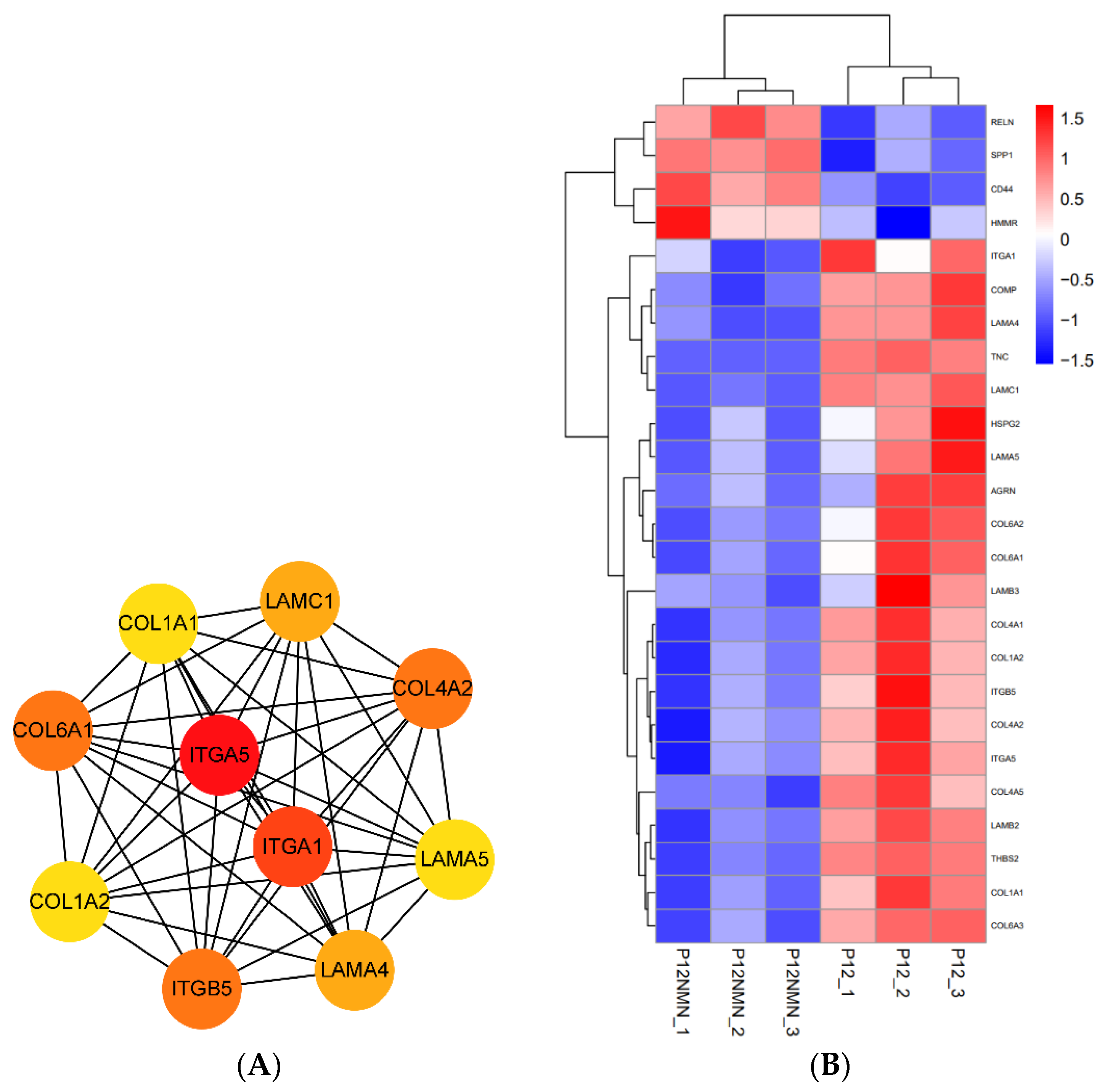 Antioxidants 12 01334 g014 Antioxidants 12 01334 g014