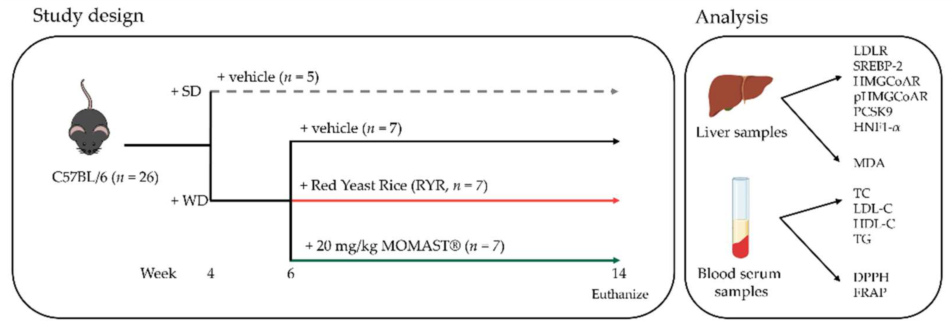 Antioxidants 12 01335 g001 Antioxidants 12 01335 g001