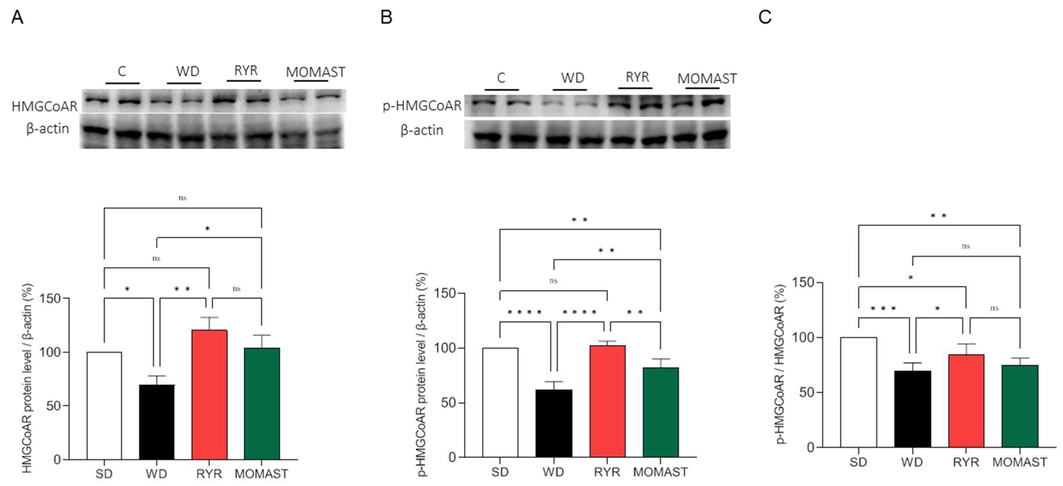 Antioxidants 12 01335 g008 Antioxidants 12 01335 g008