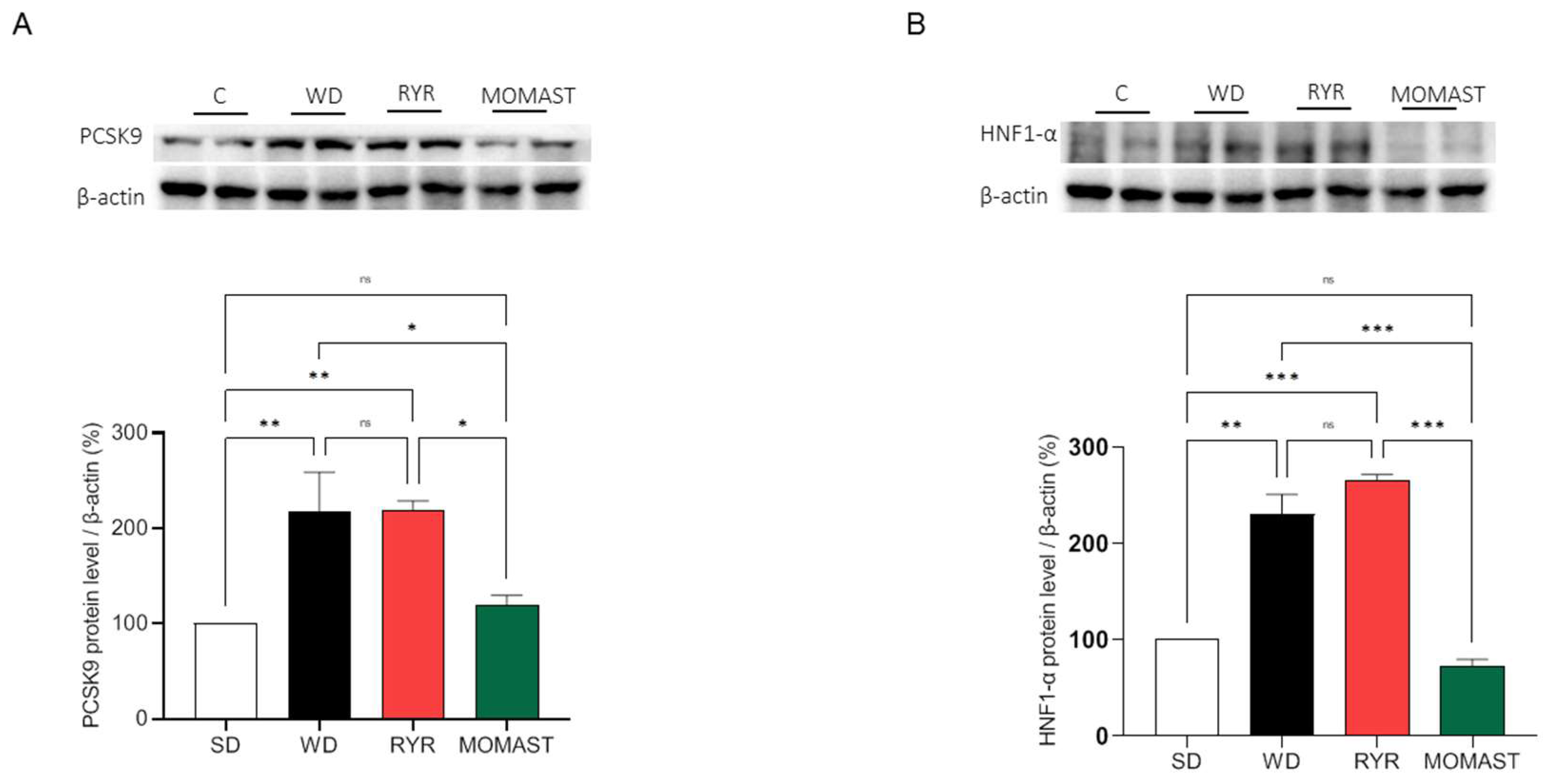 Antioxidants 12 01335 g009 Antioxidants 12 01335 g009