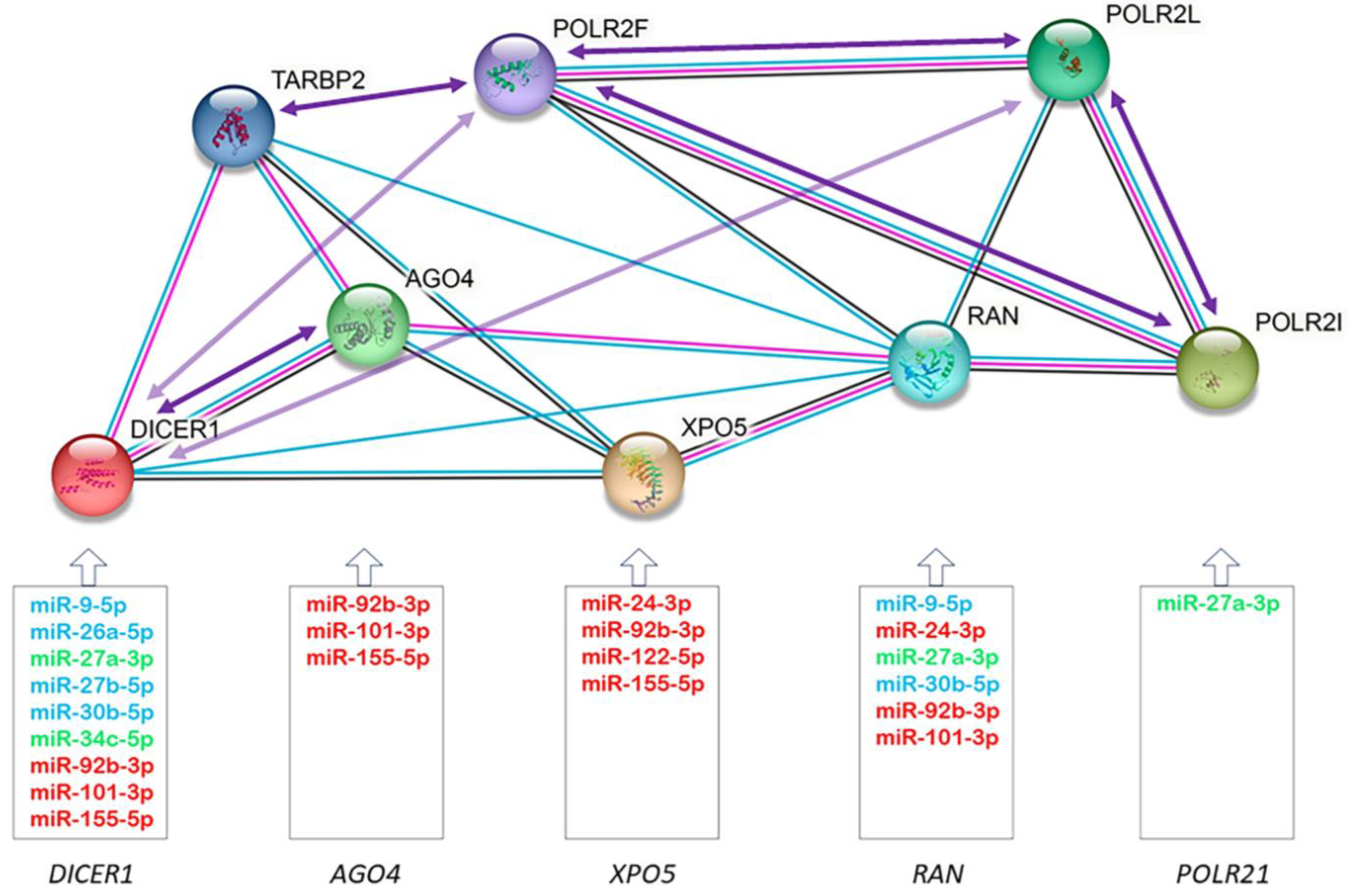 Antioxidants 12 01337 g004 Antioxidants 12 01337 g004