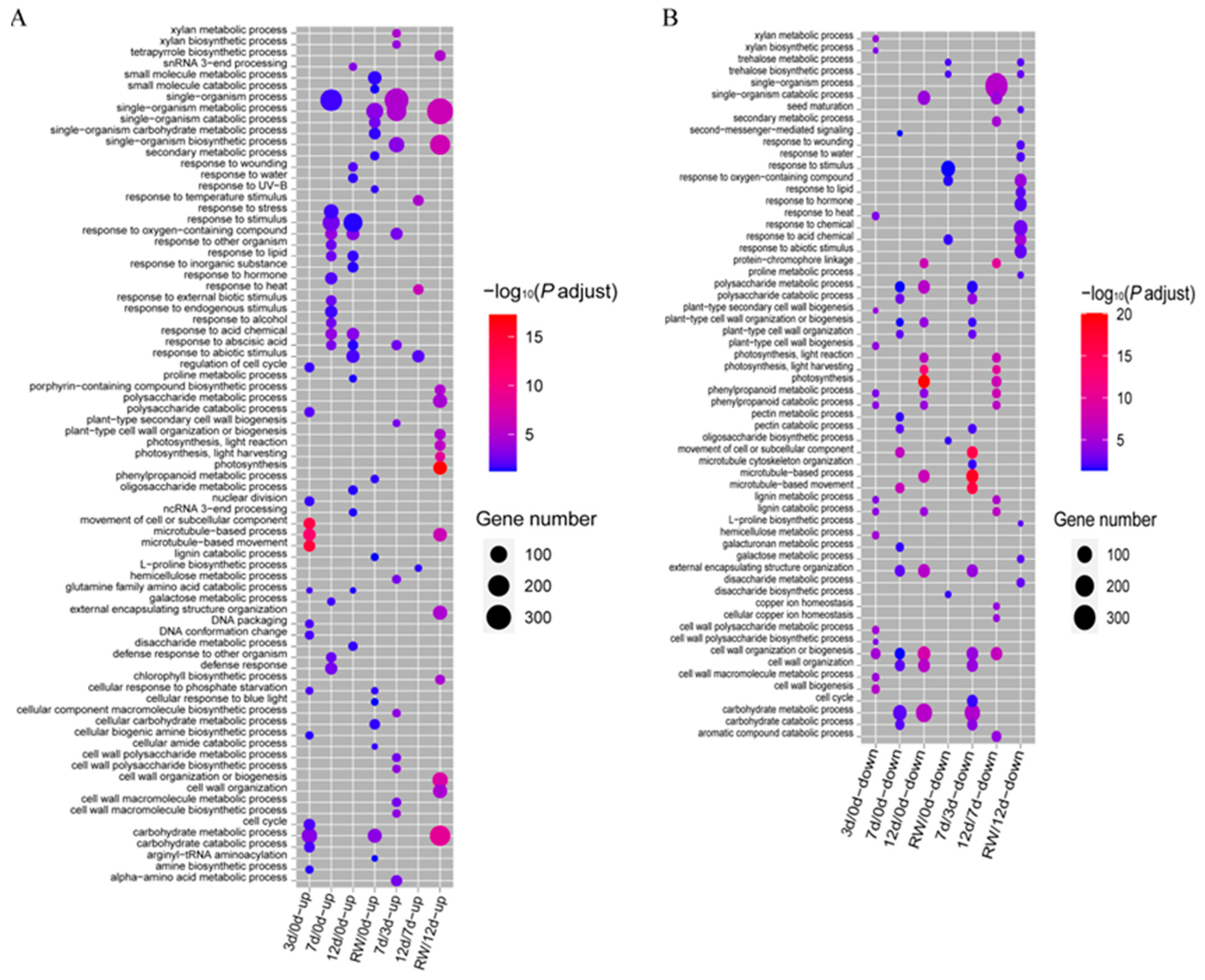 Antioxidants 12 01339 g003