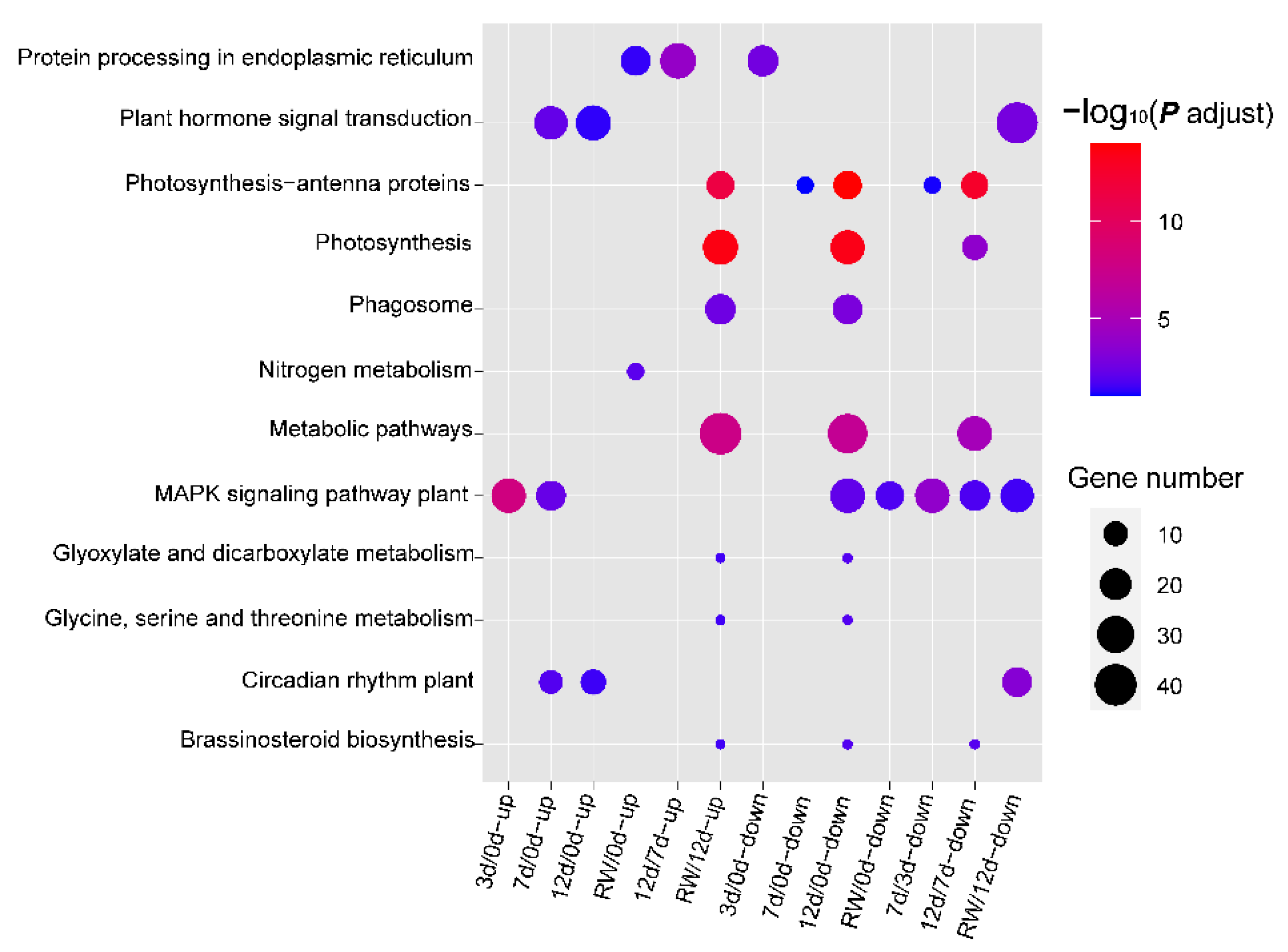 Antioxidants 12 01339 g004
