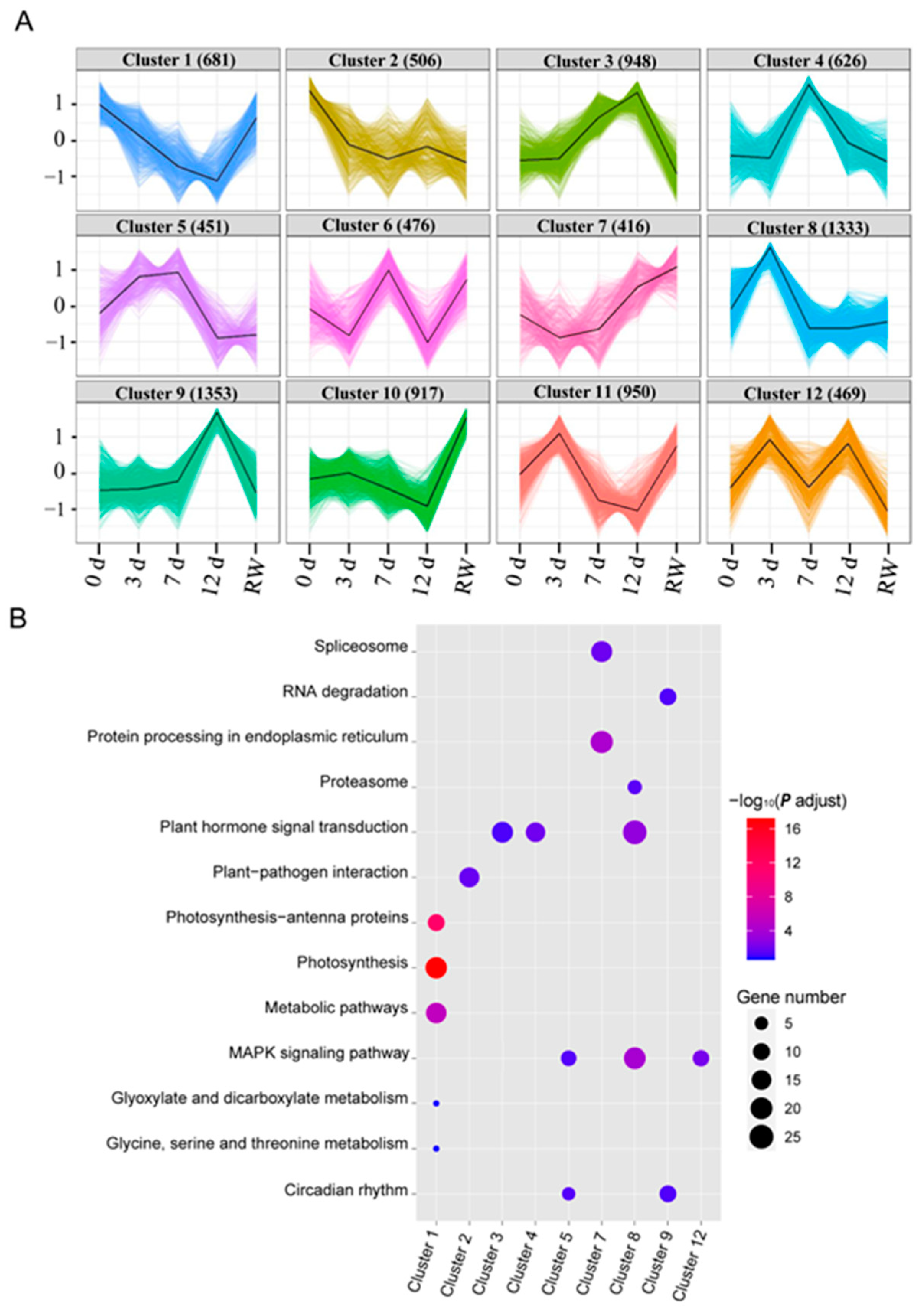 Antioxidants 12 01339 g005