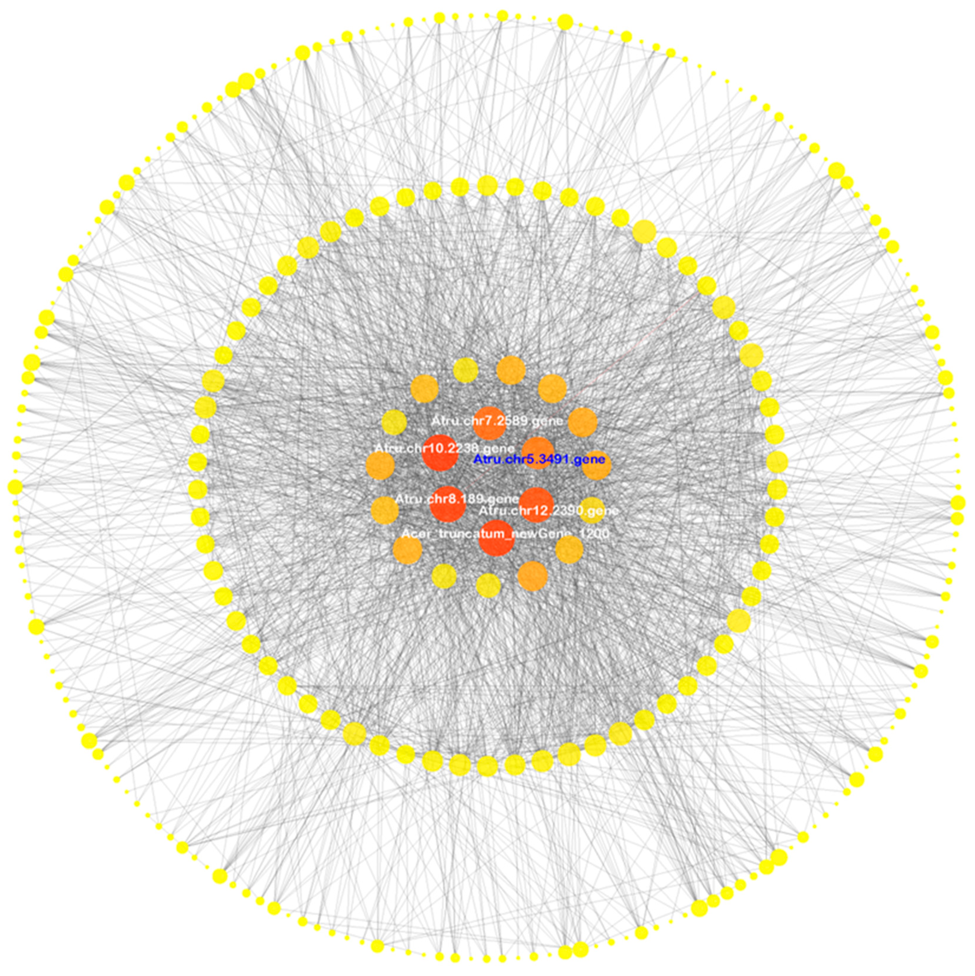 Antioxidants 12 01339 g006