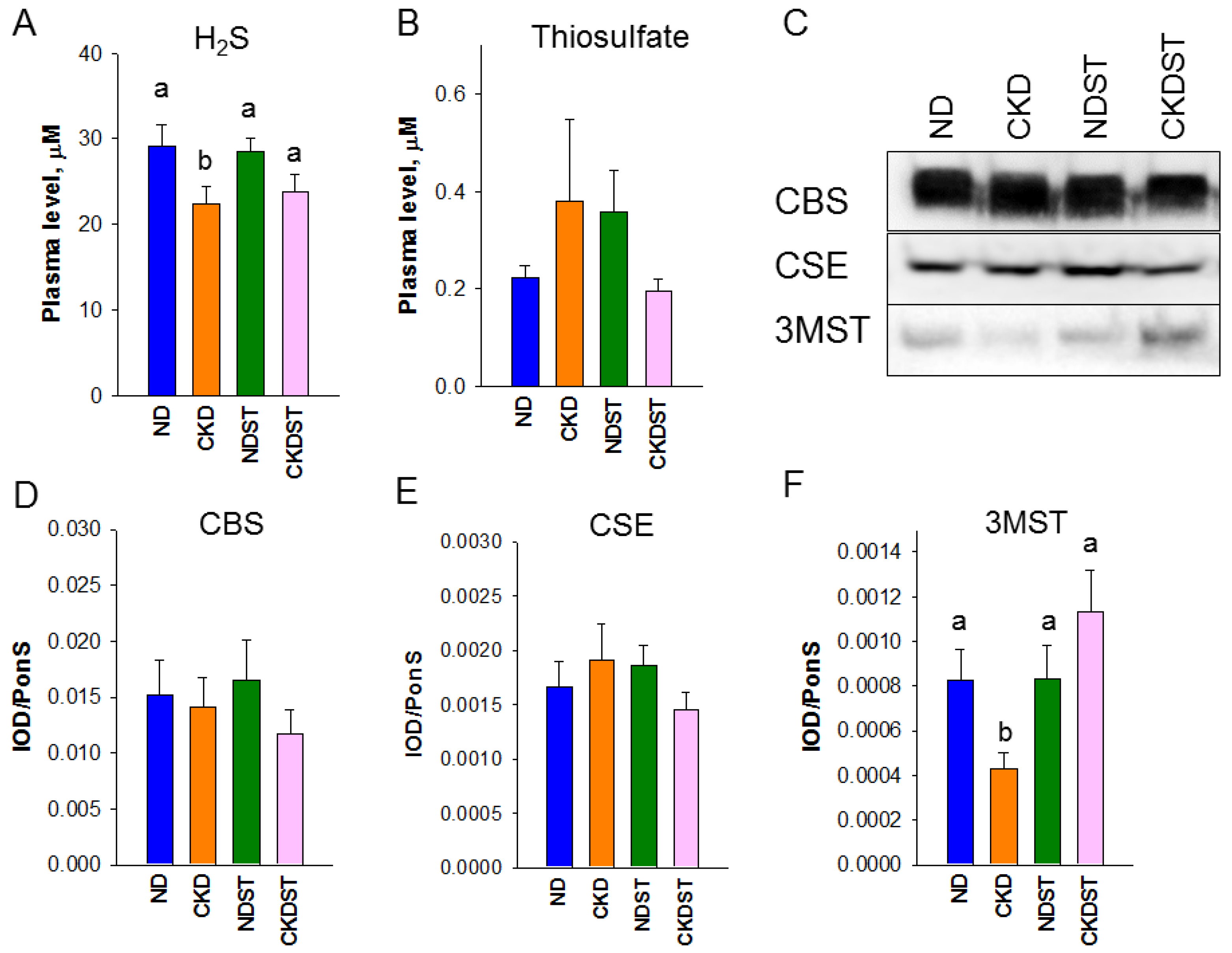 Antioxidants 12 01344 g002