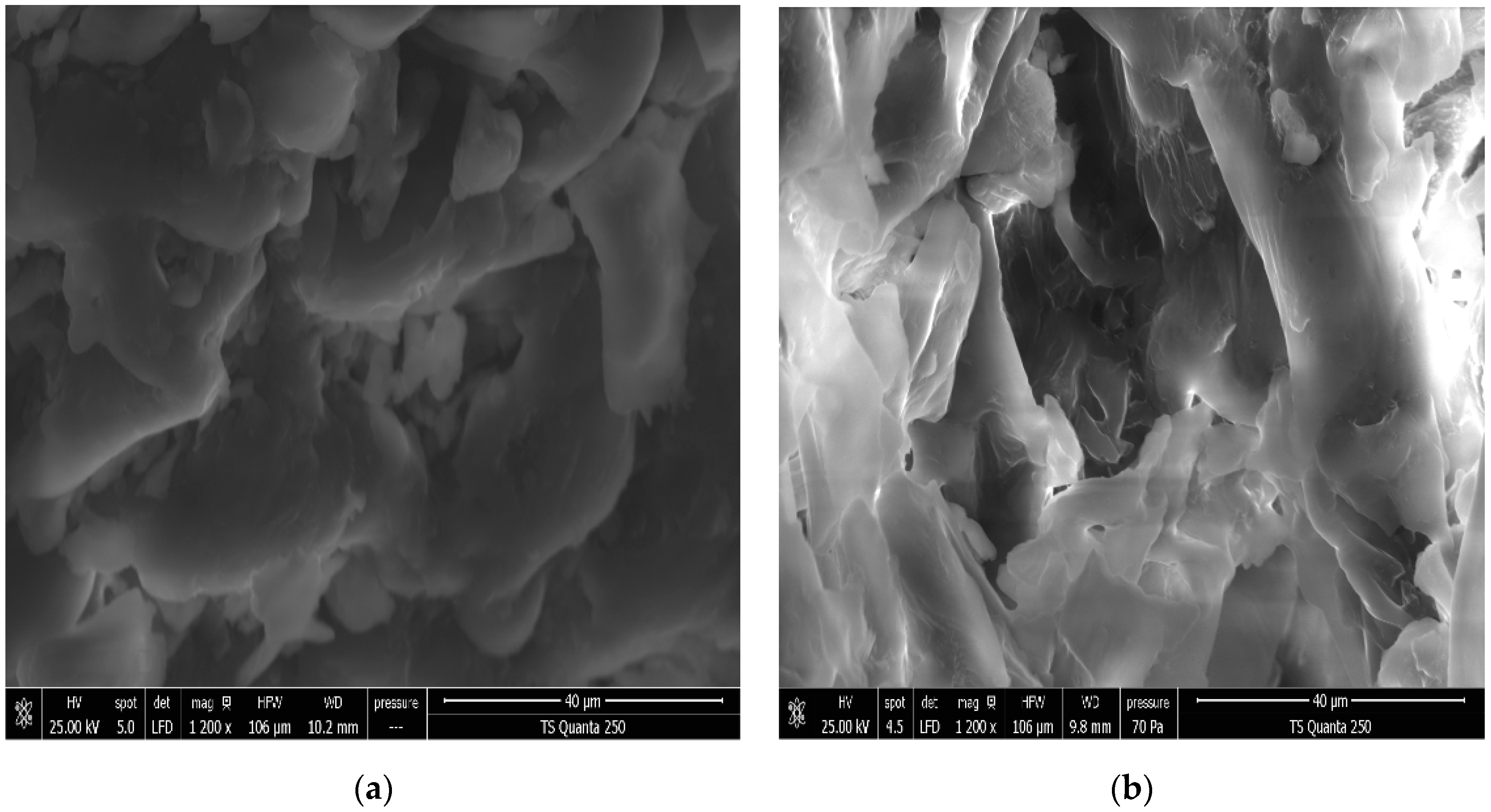 Antioxidants 12 01346 g006 Antioxidants 12 01346 g006