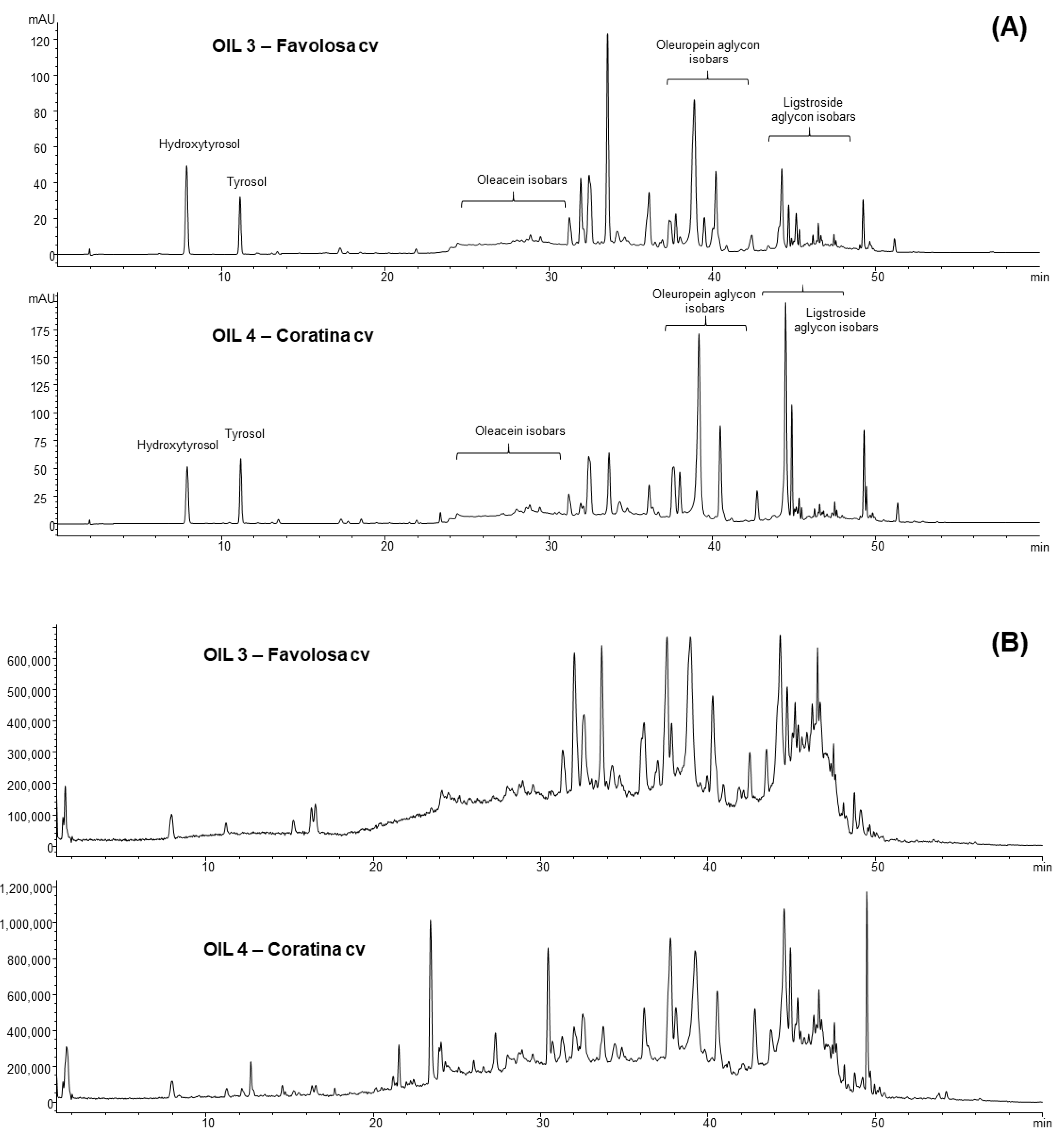 Antioxidants 12 01347 g001 Antioxidants 12 01347 g001