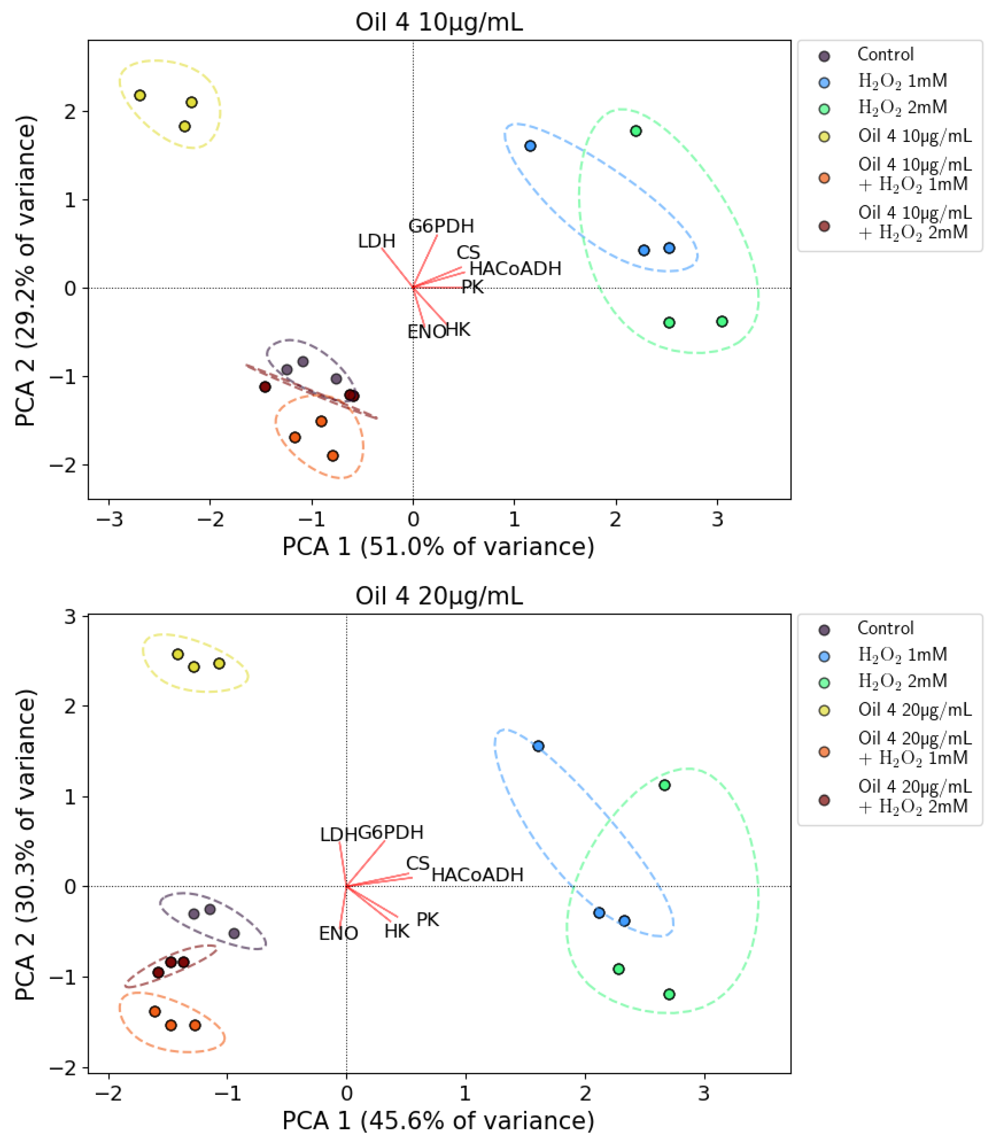 Antioxidants 12 01347 g010 Antioxidants 12 01347 g010