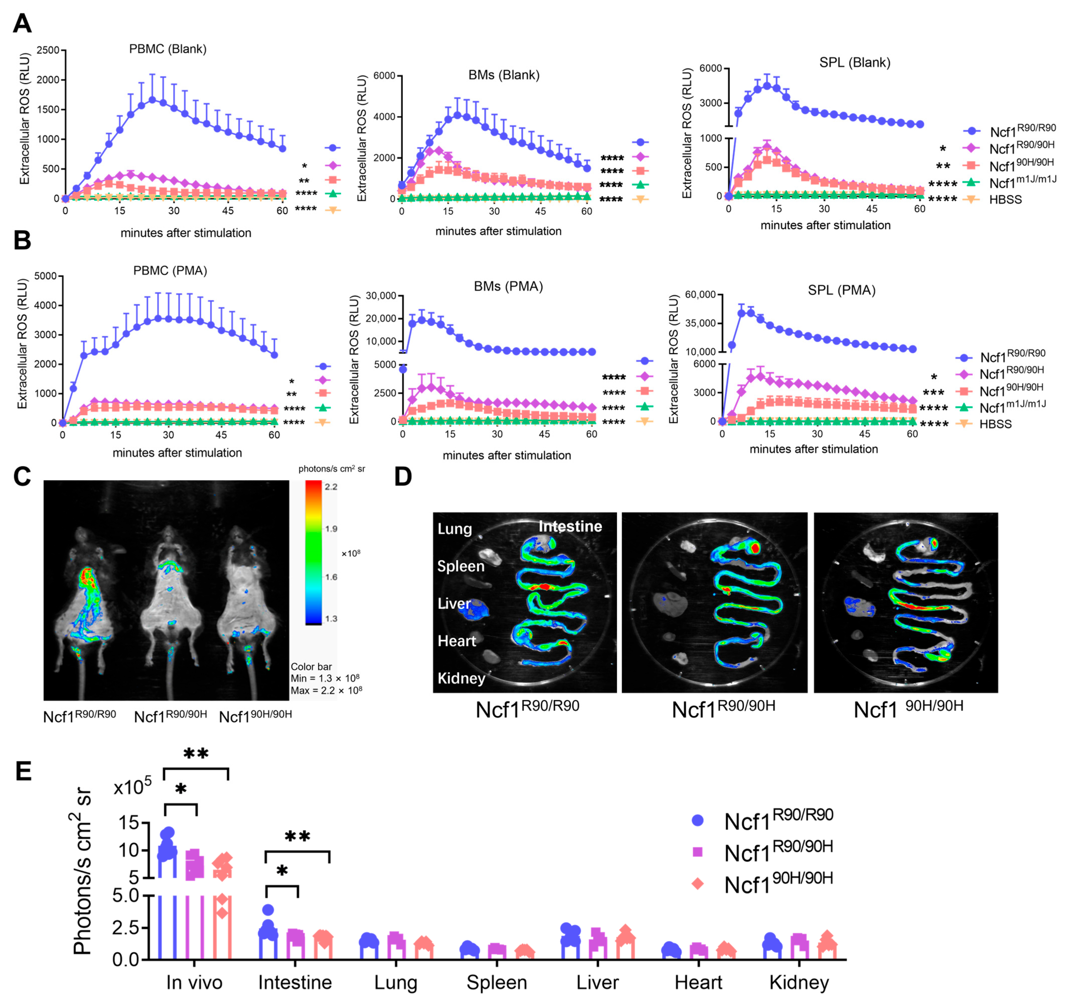 Antioxidants 12 01348 g002 Antioxidants 12 01348 g002