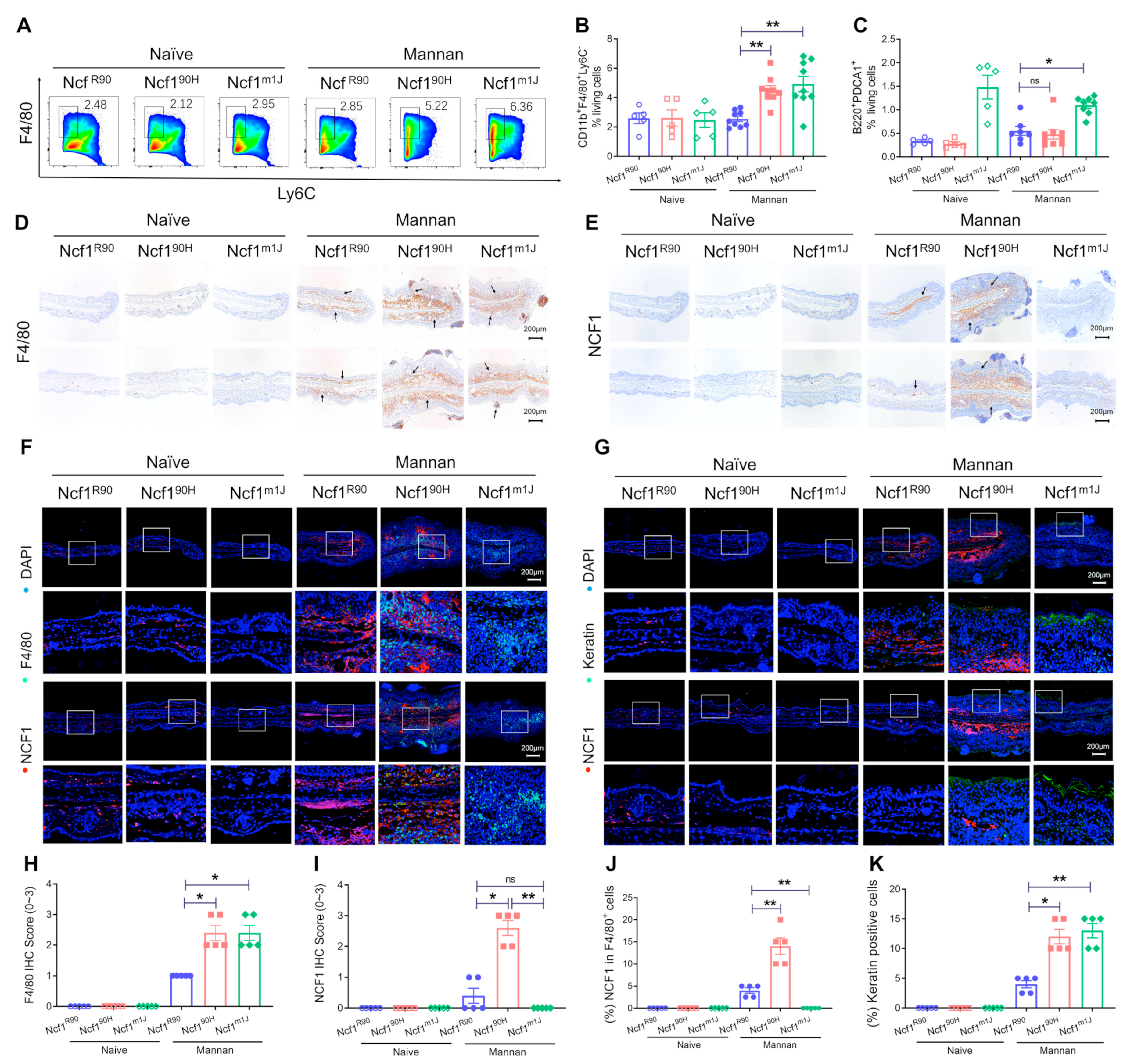 Antioxidants 12 01348 g005 Antioxidants 12 01348 g005