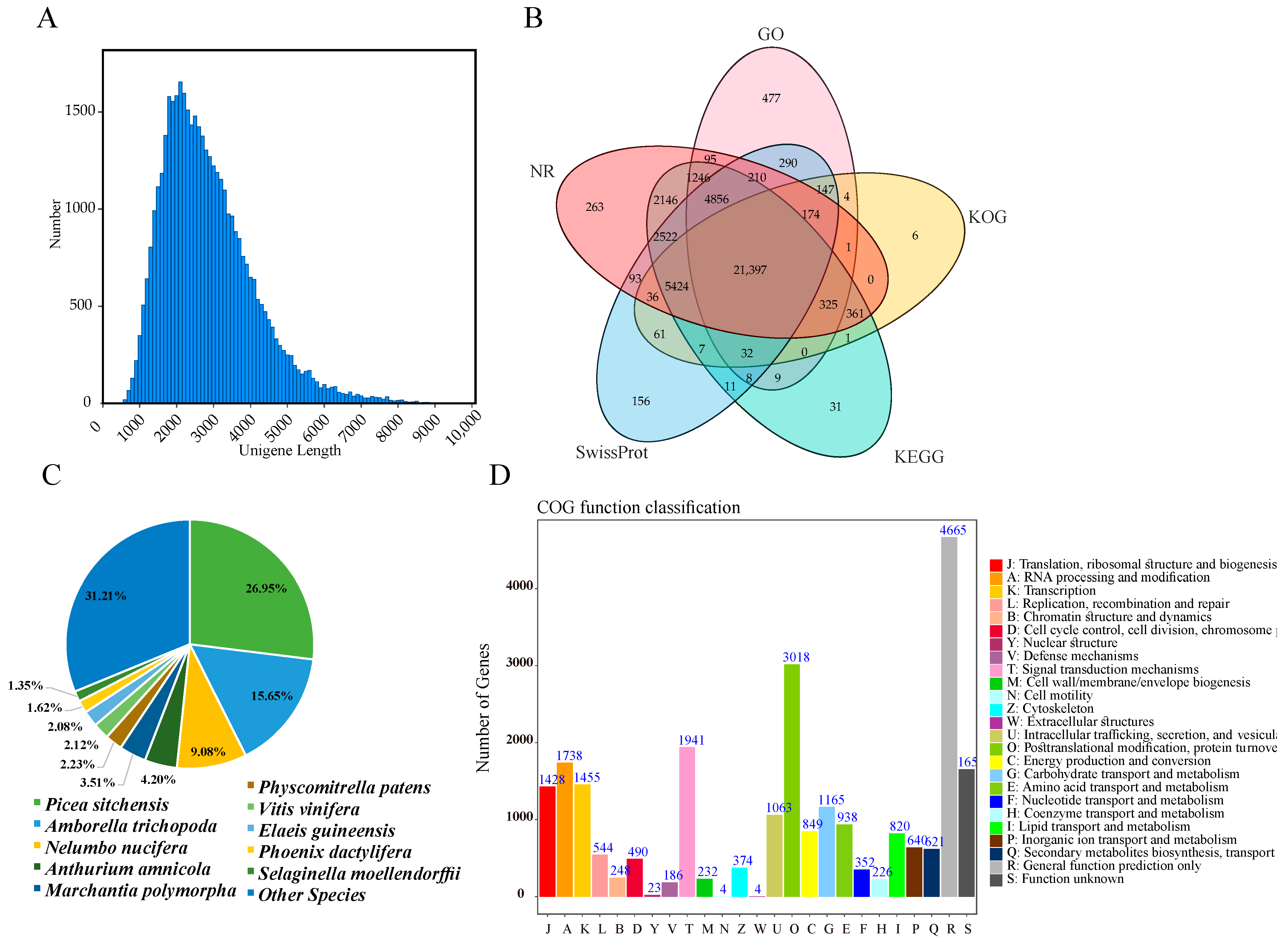 Antioxidants 12 01353 g003 Antioxidants 12 01353 g003