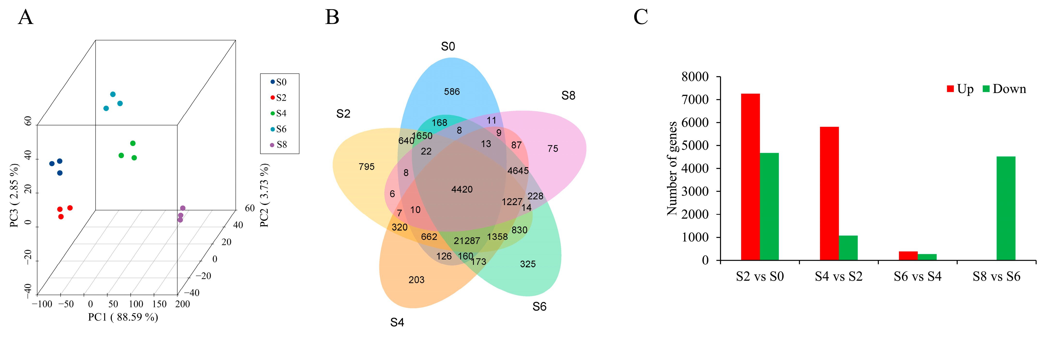 Antioxidants 12 01353 g004 Antioxidants 12 01353 g004
