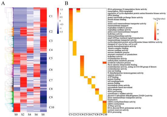 Antioxidants | Free Full-Text | Full-Length Transcriptome Sequencing ...
