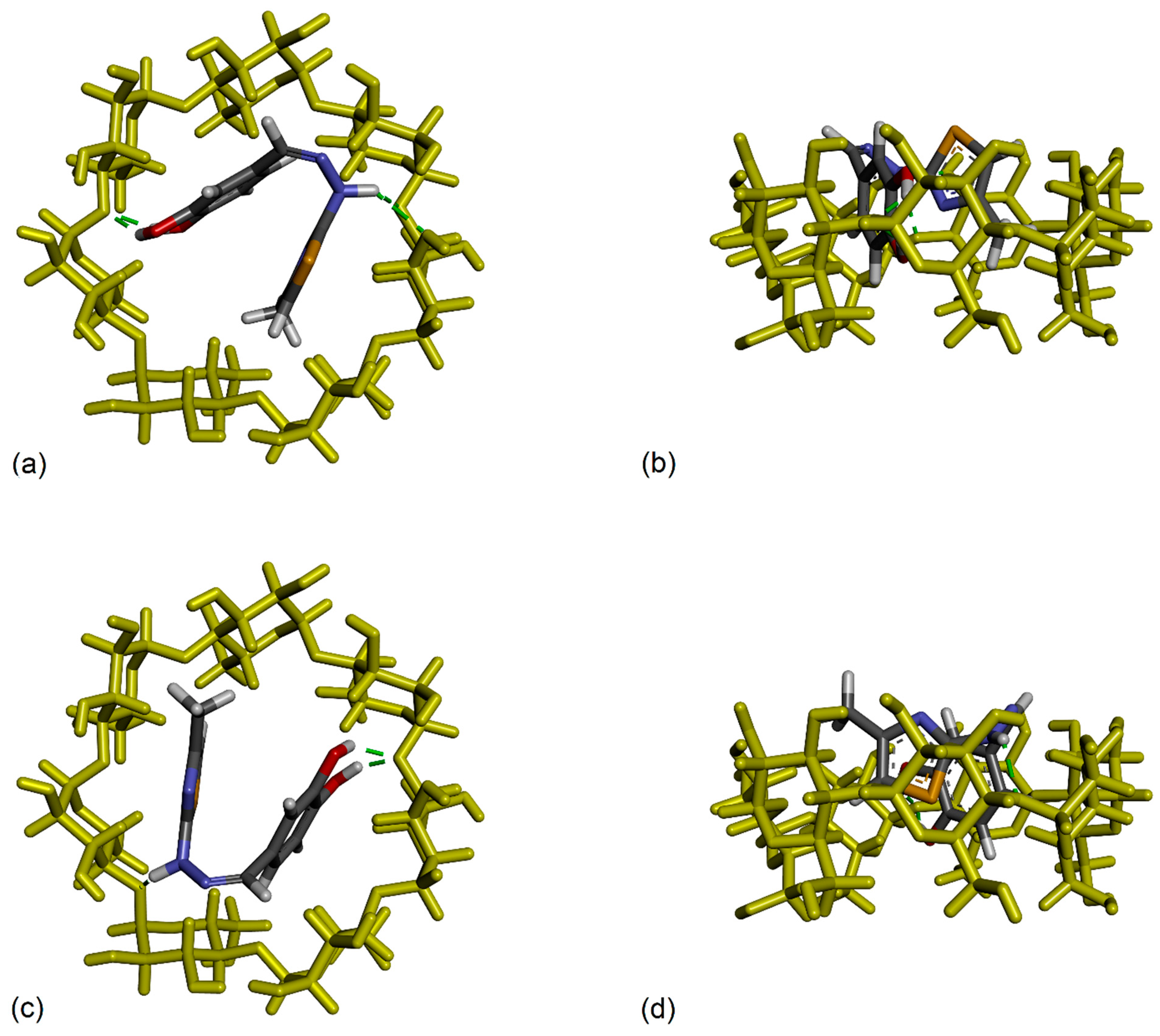 Antioxidants 12 01367 g012