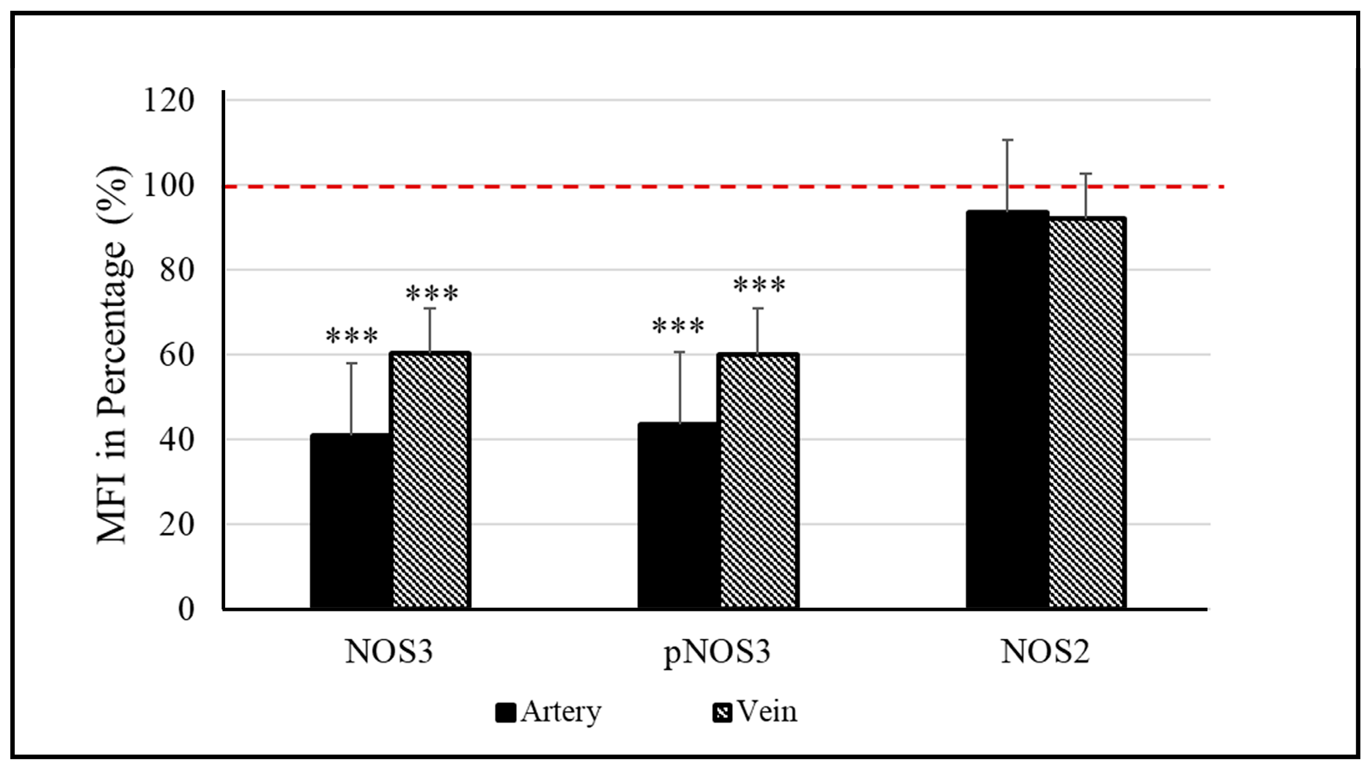 Antioxidants 12 01370 g001 Antioxidants 12 01370 g001