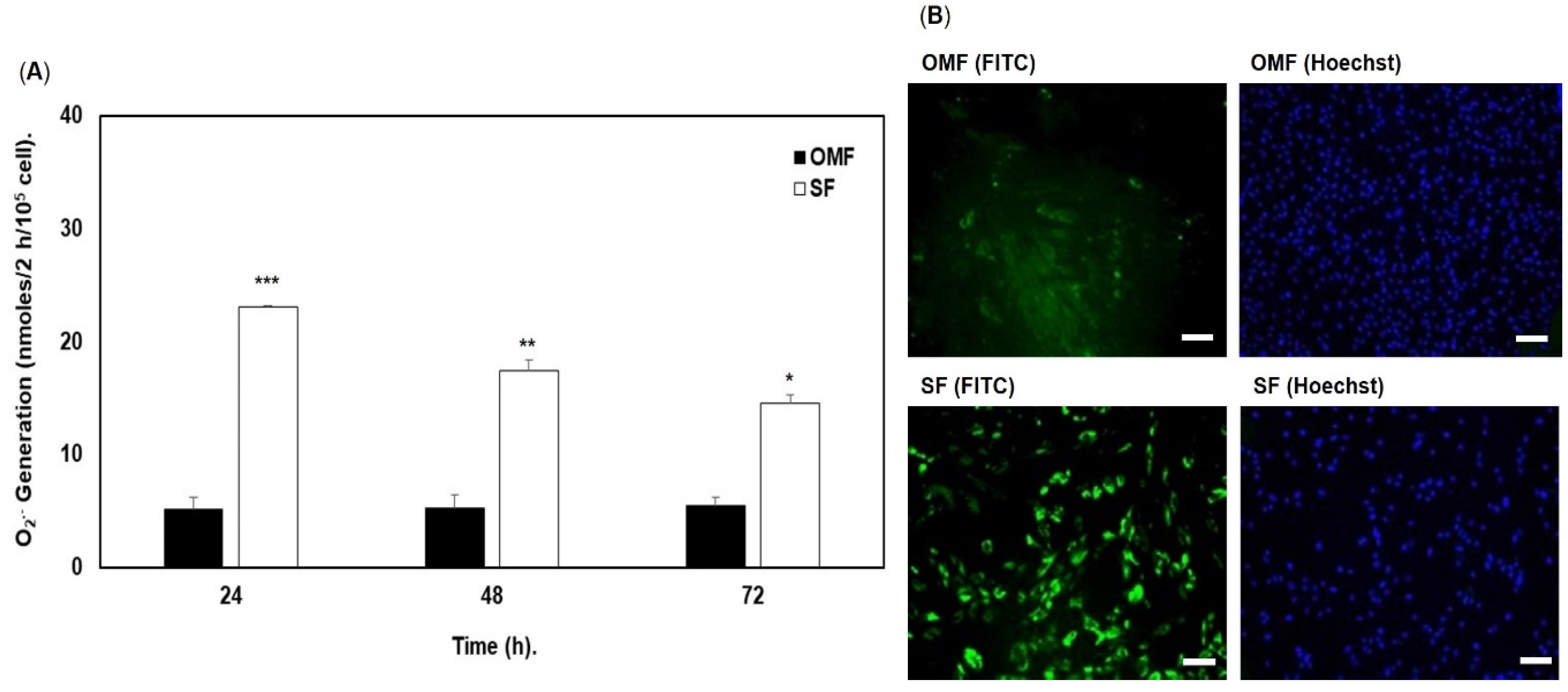 Antioxidants 12 01374 g003