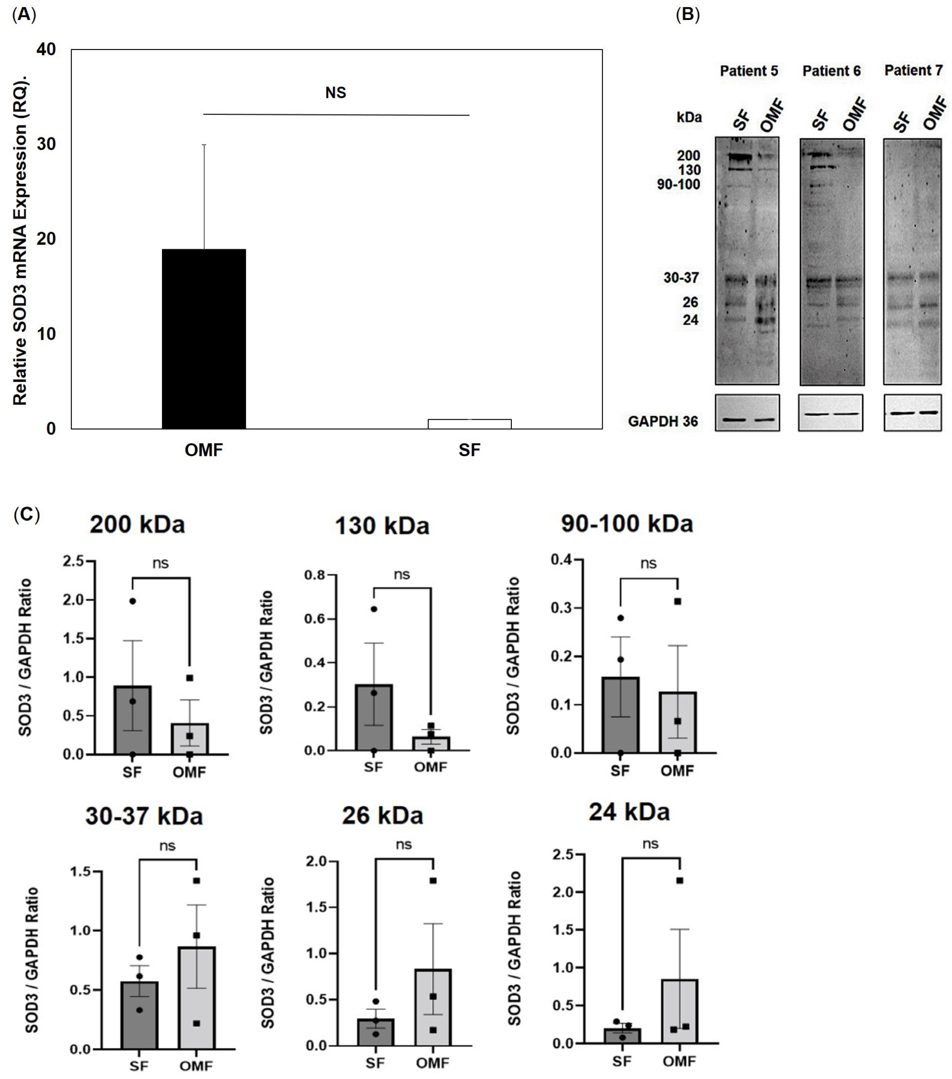 Antioxidants 12 01374 g005