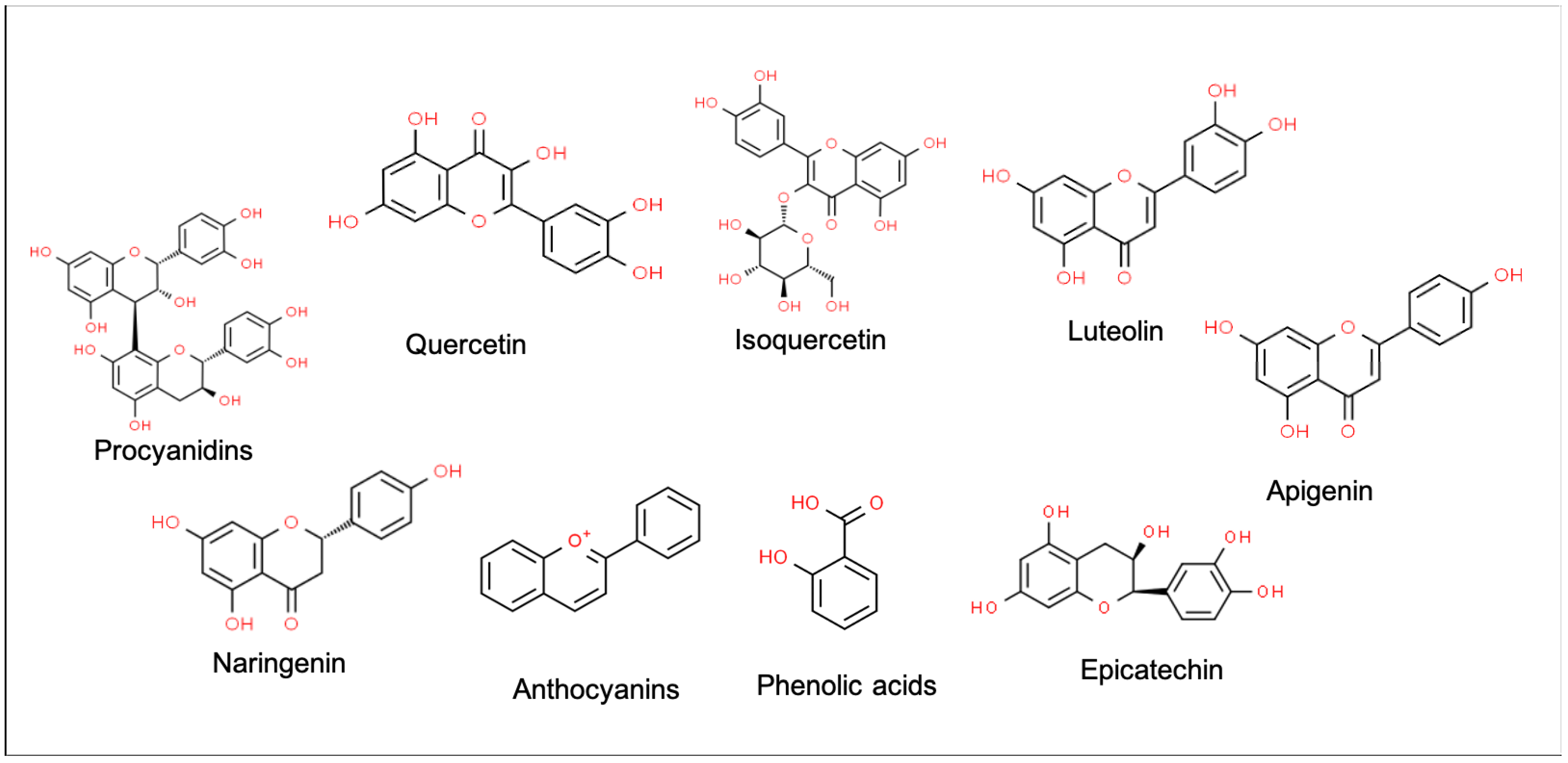 Antioxidants 12 01376 g001