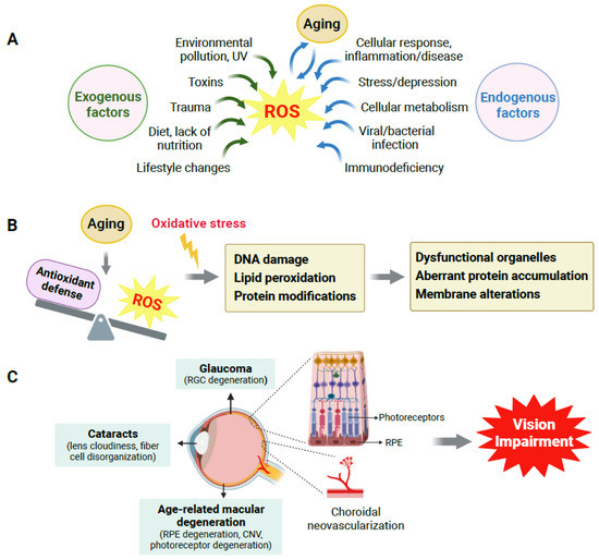 Antioxidants, Free Full-Text