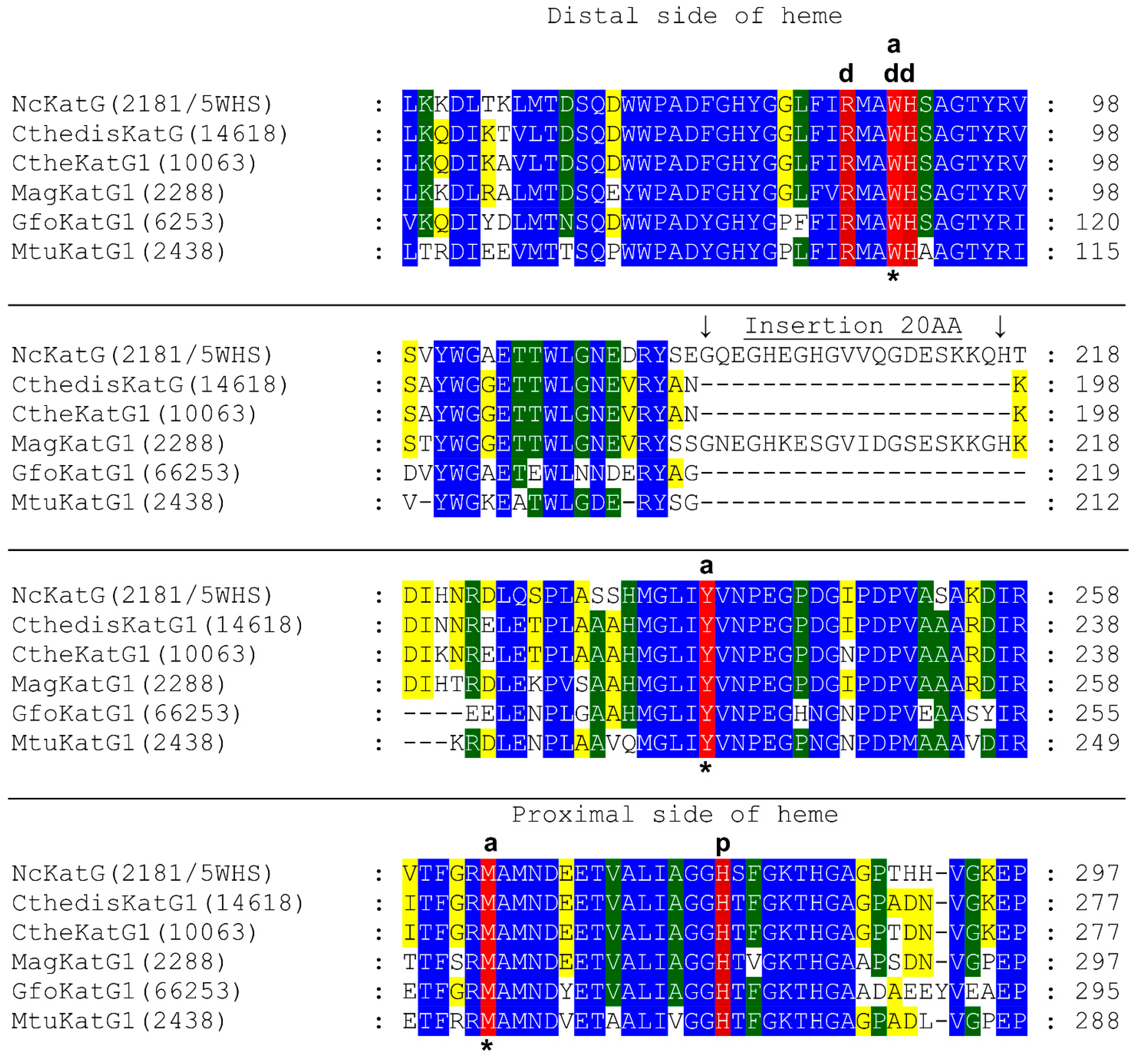 Antioxidants 12 01382 g001 Antioxidants 12 01382 g001