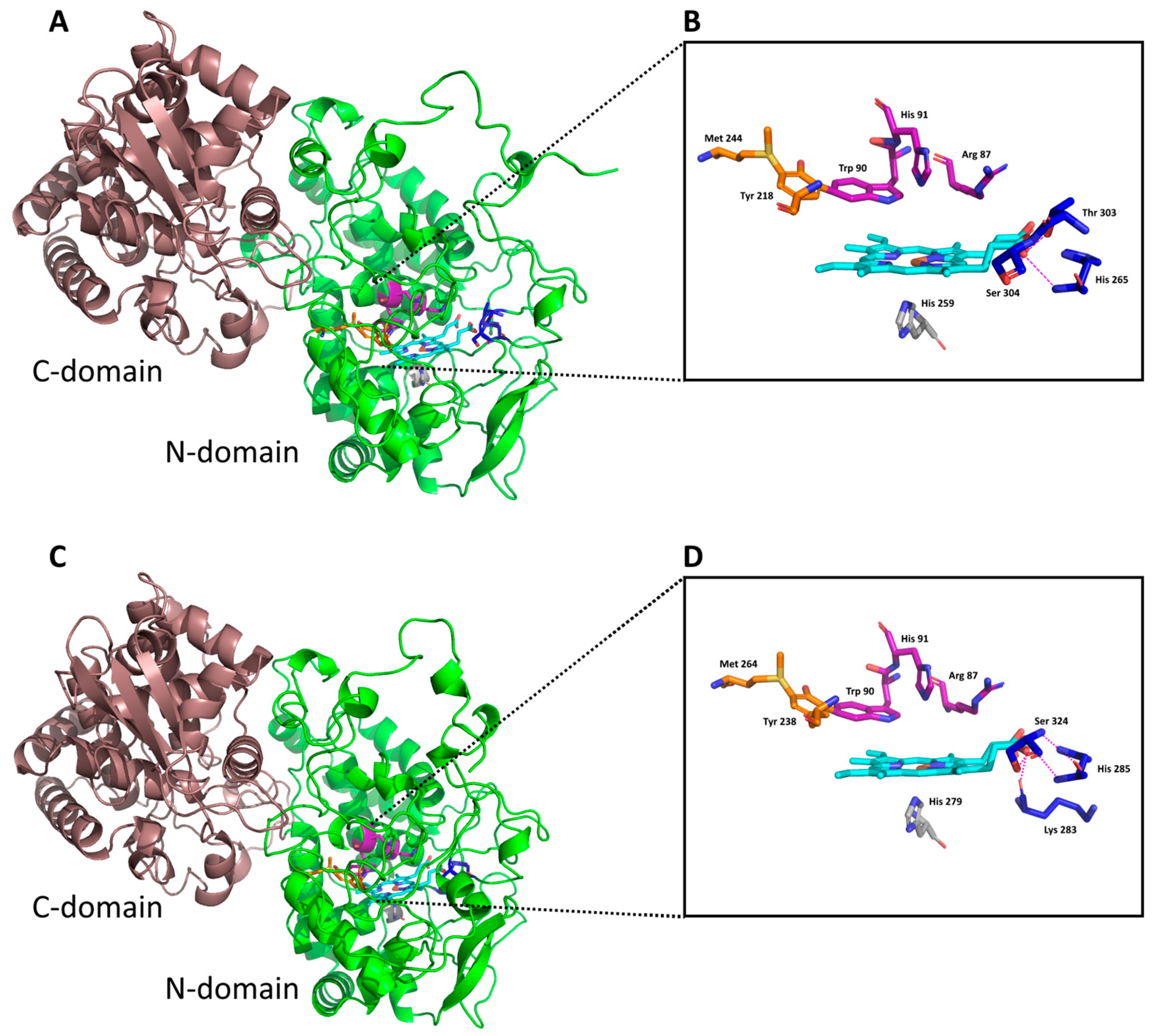 Antioxidants 12 01382 g002 Antioxidants 12 01382 g002