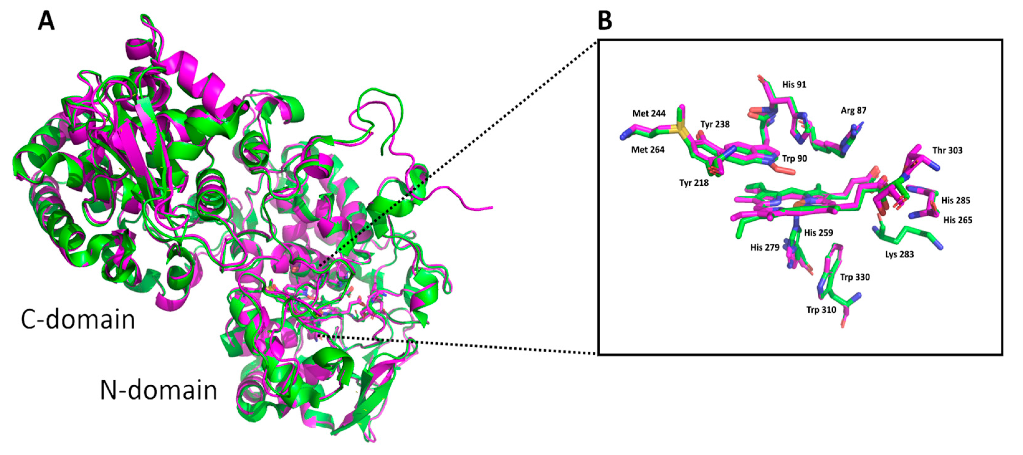Antioxidants 12 01382 g003 Antioxidants 12 01382 g003
